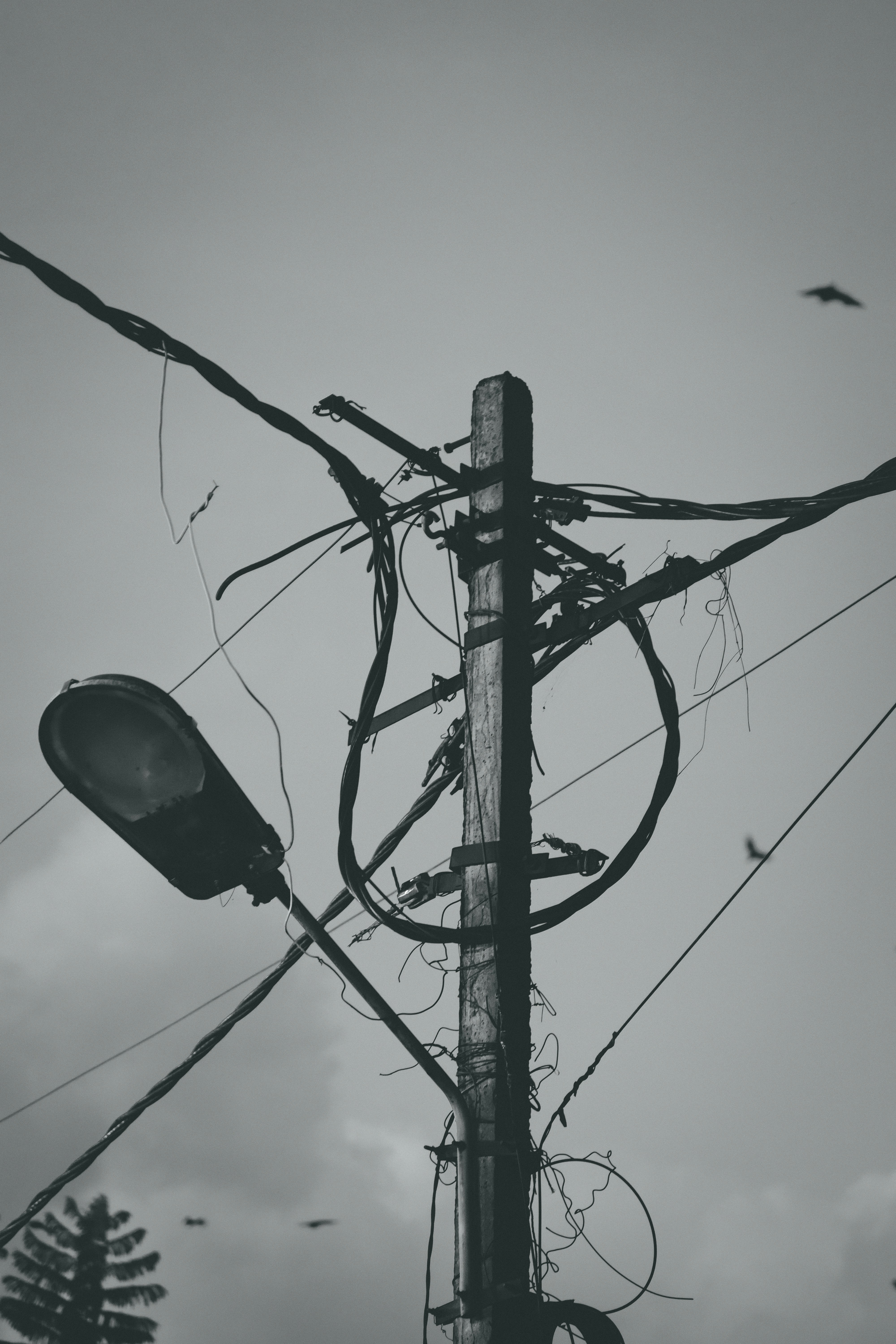 Photo by sameer_srivastava