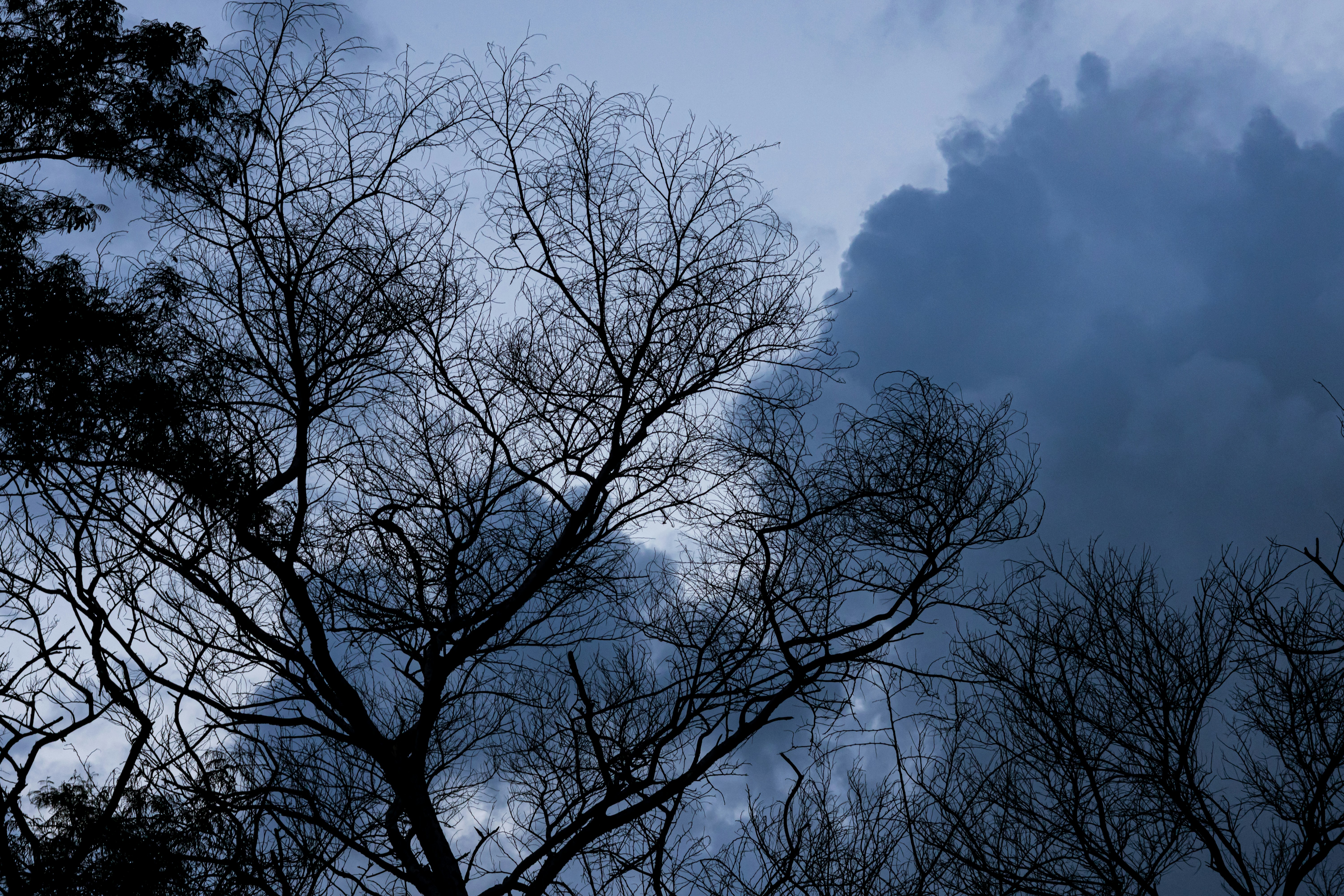 Photo by sameer_srivastava