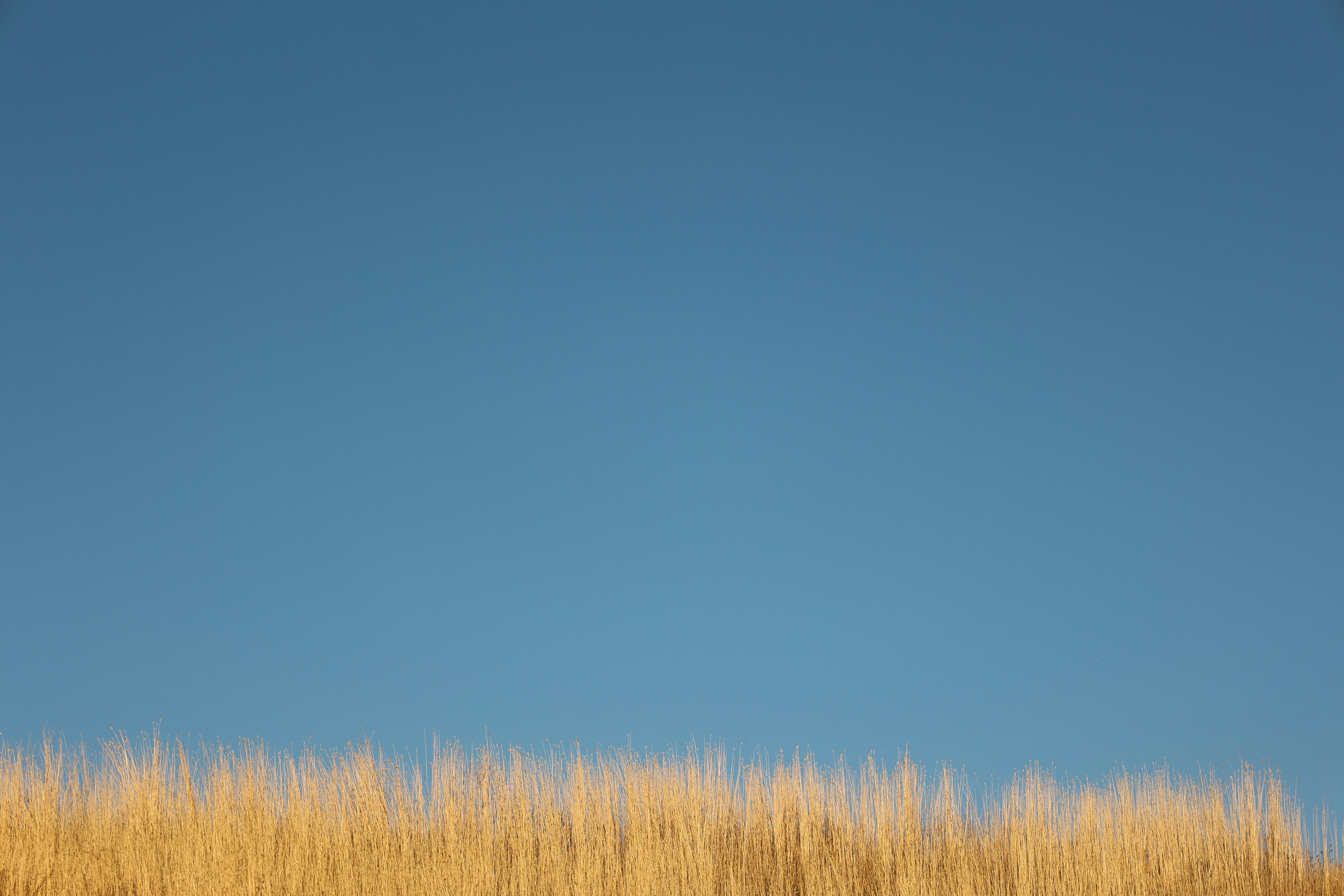 Photo by joshua_hoehne