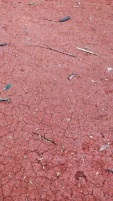 Red, dry and cracked earth with scattered dried leaves and small sticks. The ground has noticeable cracks forming a pattern, indicative of drought or dehydration of the soil.