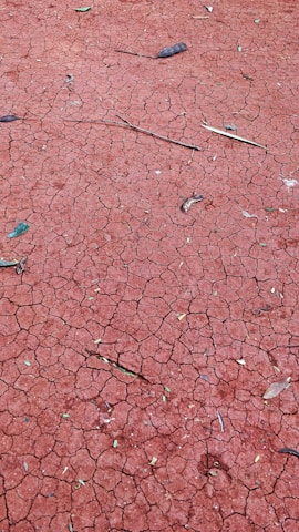 Red, dry and cracked earth with scattered dried leaves and small sticks. The ground has noticeable cracks forming a pattern, indicative of drought or dehydration of the soil.