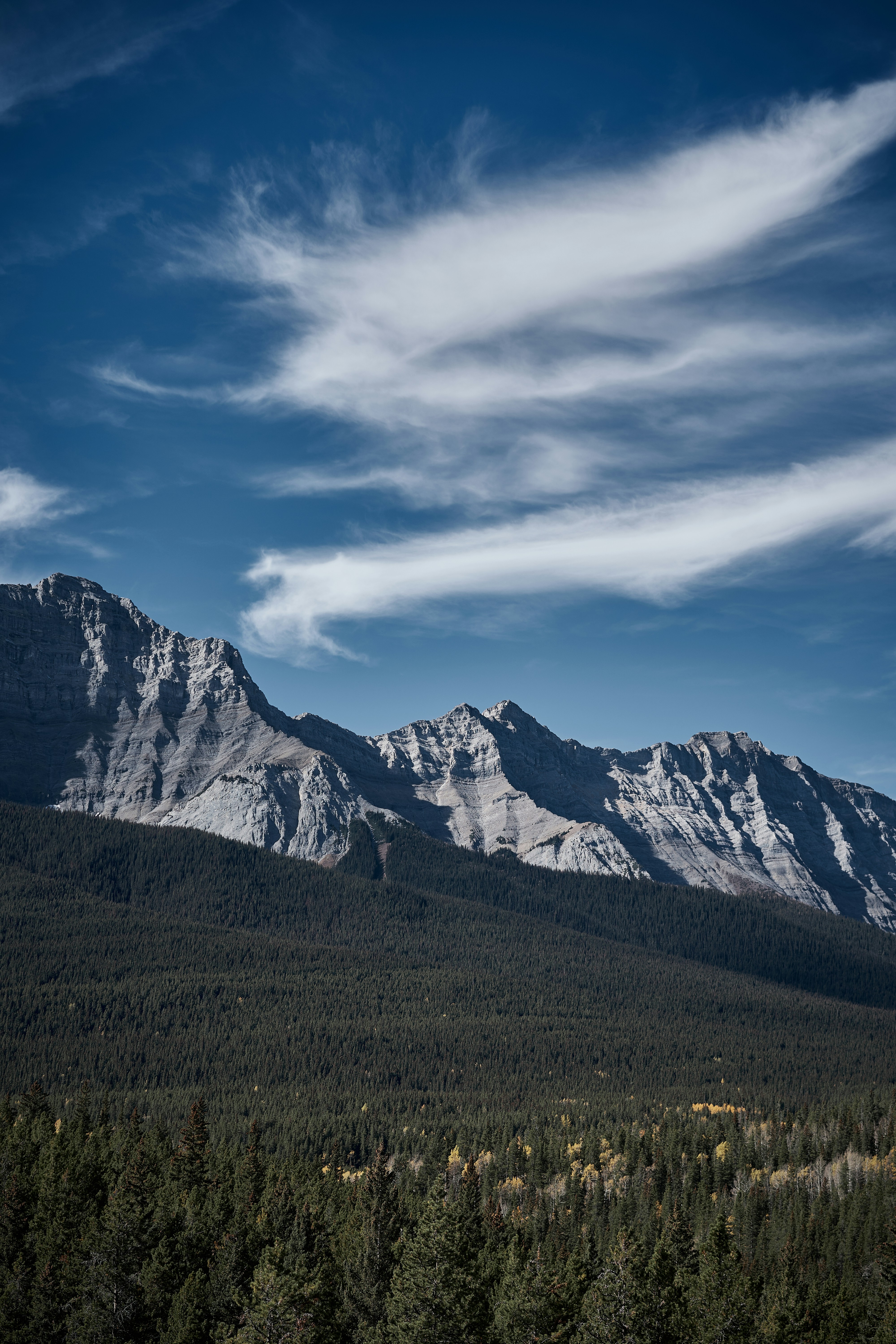 a landscape with mountains and trees