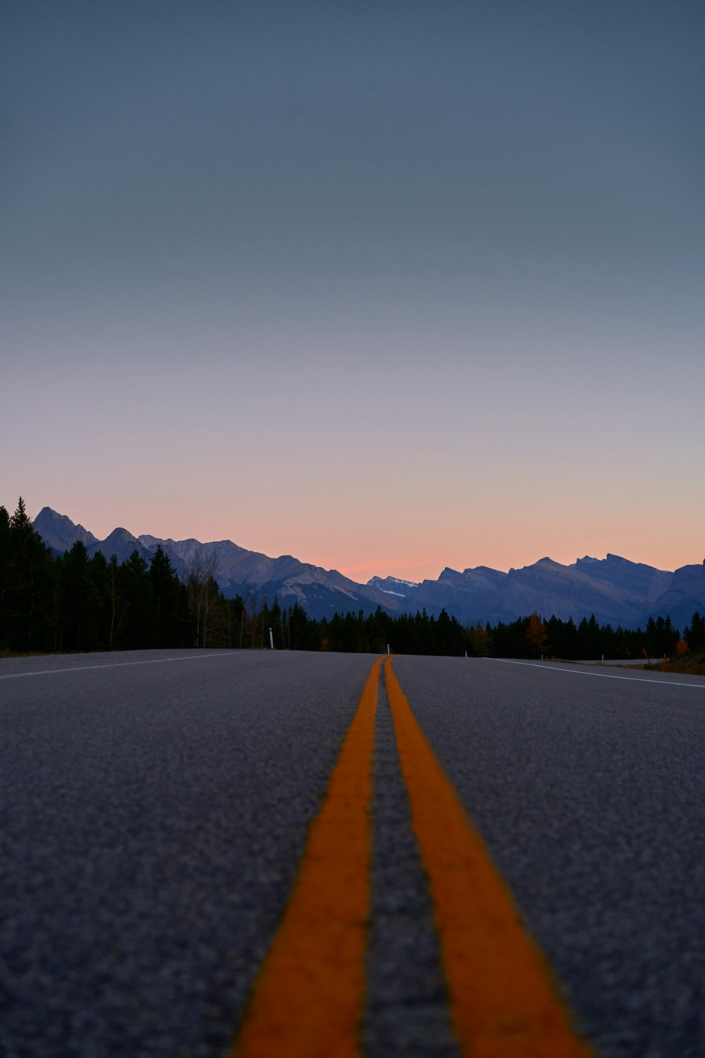 a road with trees on the side