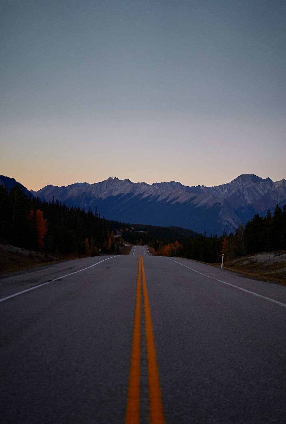 a road with trees on the side