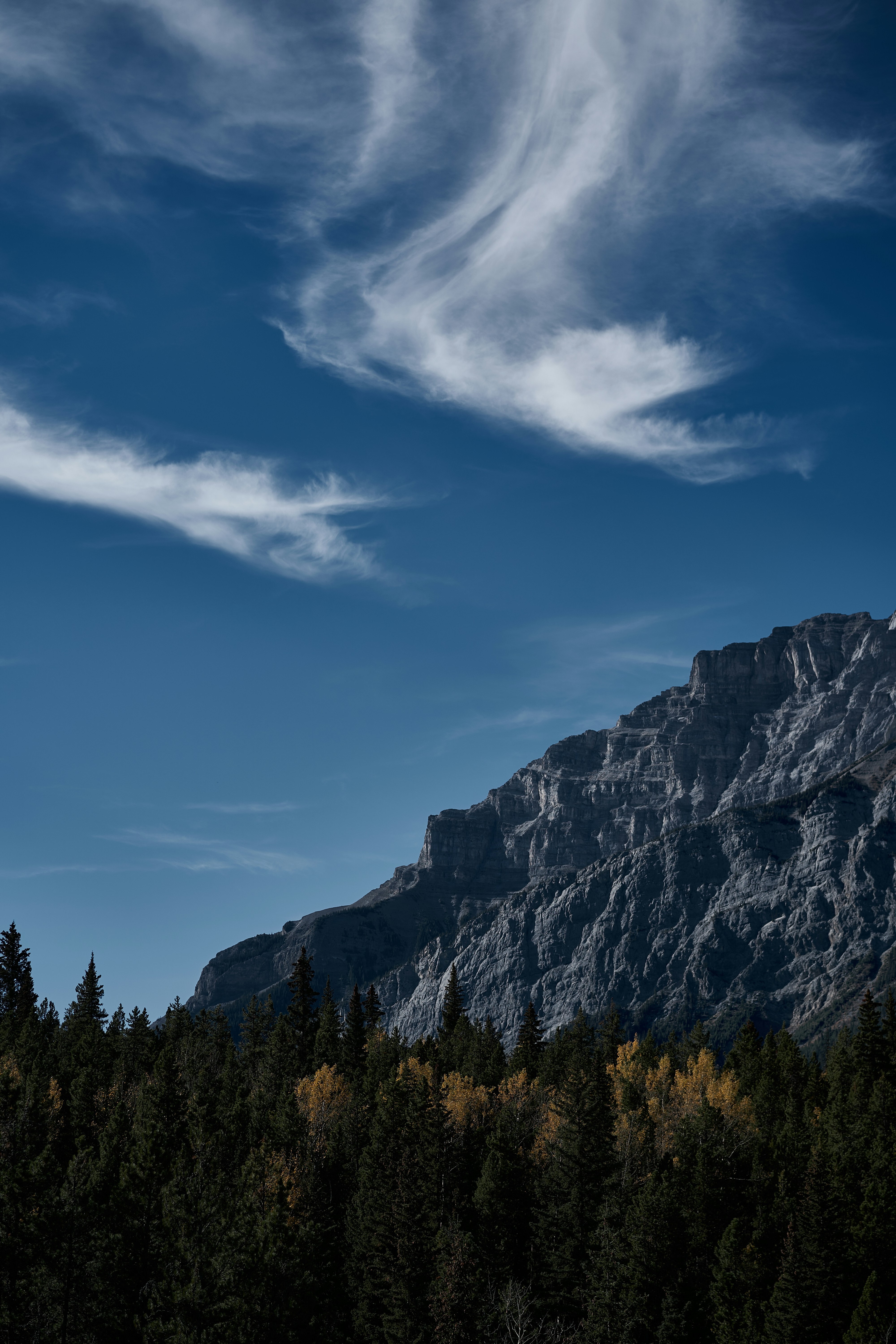 a mountain with trees and blue sky
