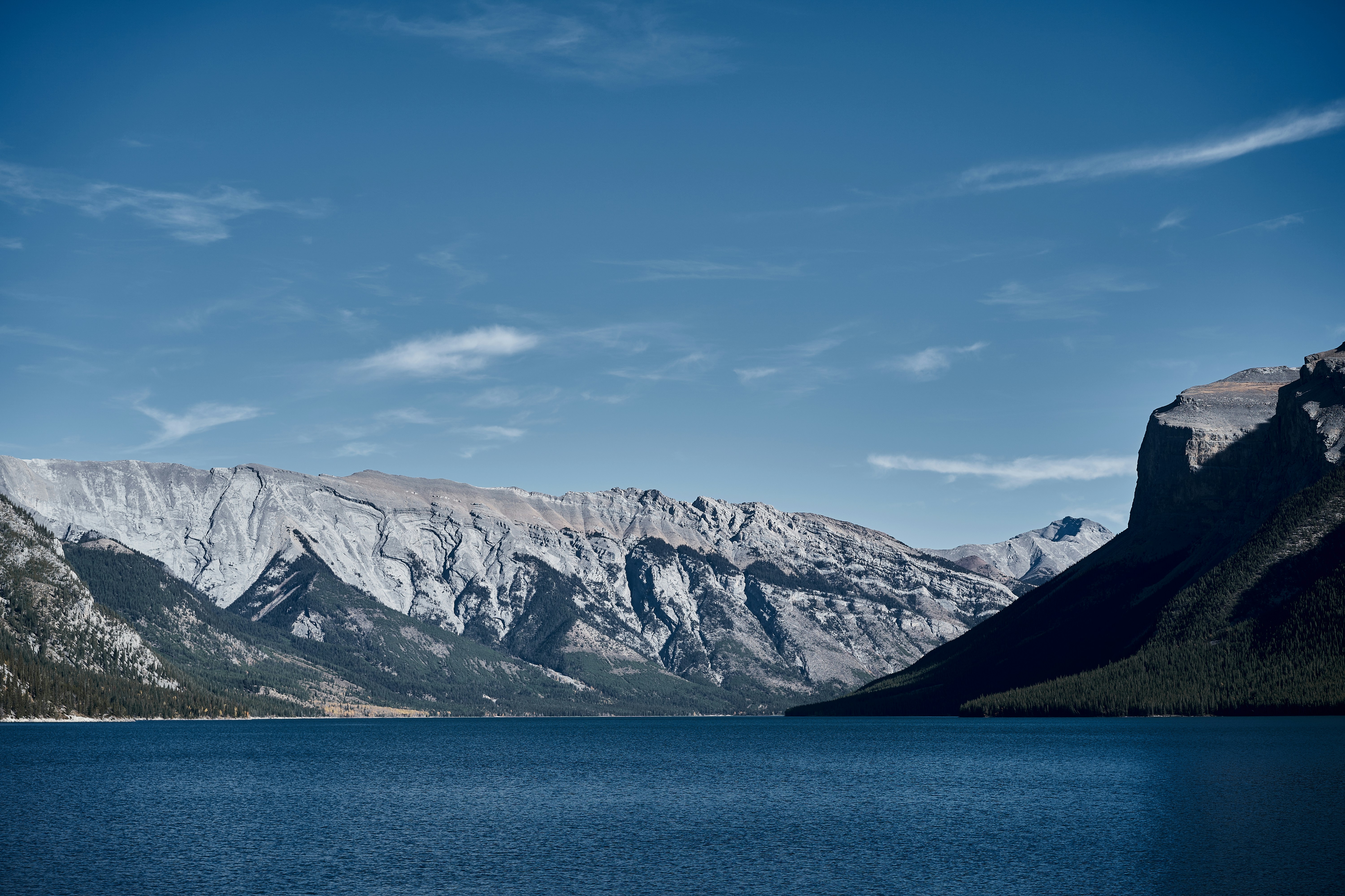 Photo by suicide_chewbacca