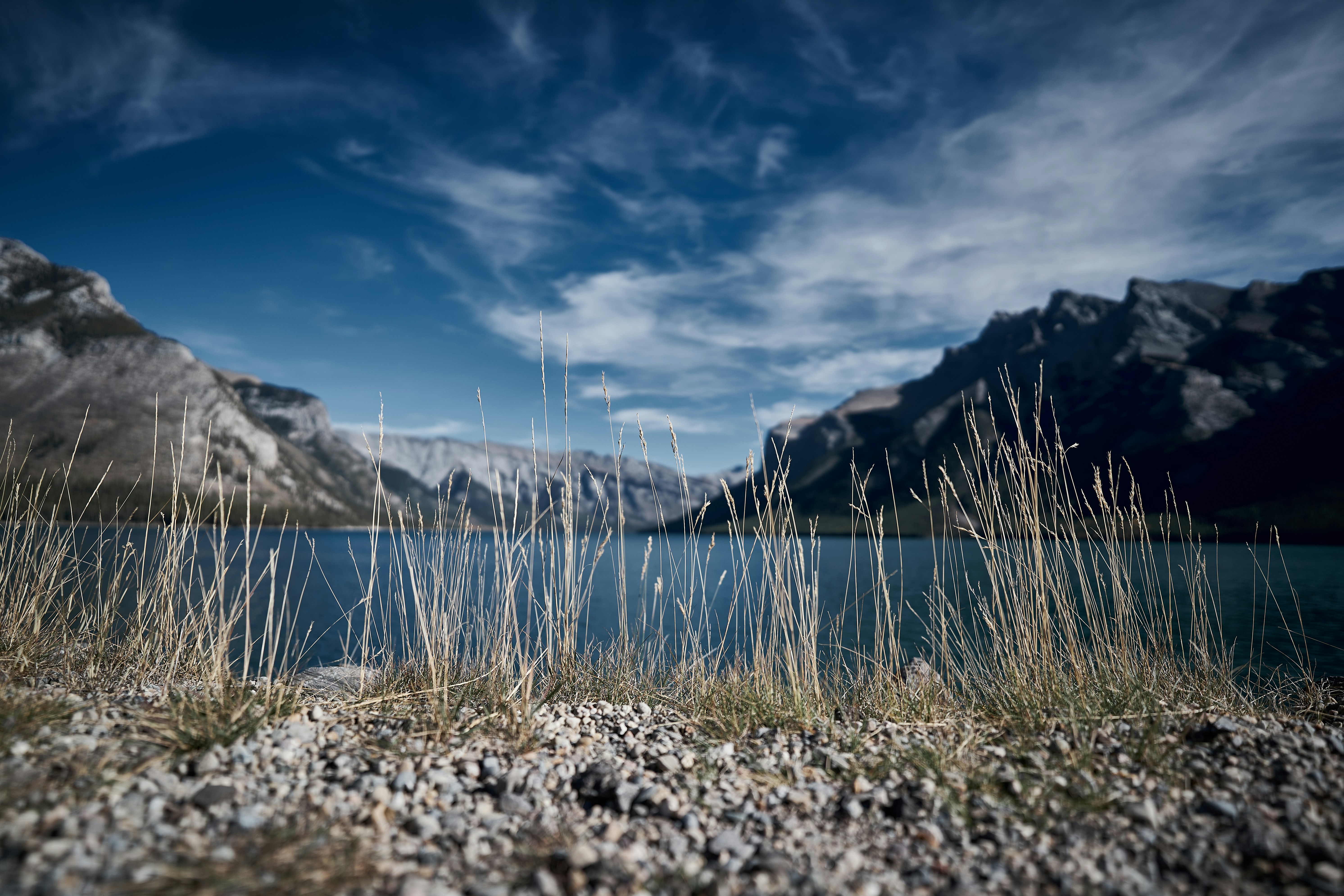 Photo by suicide_chewbacca