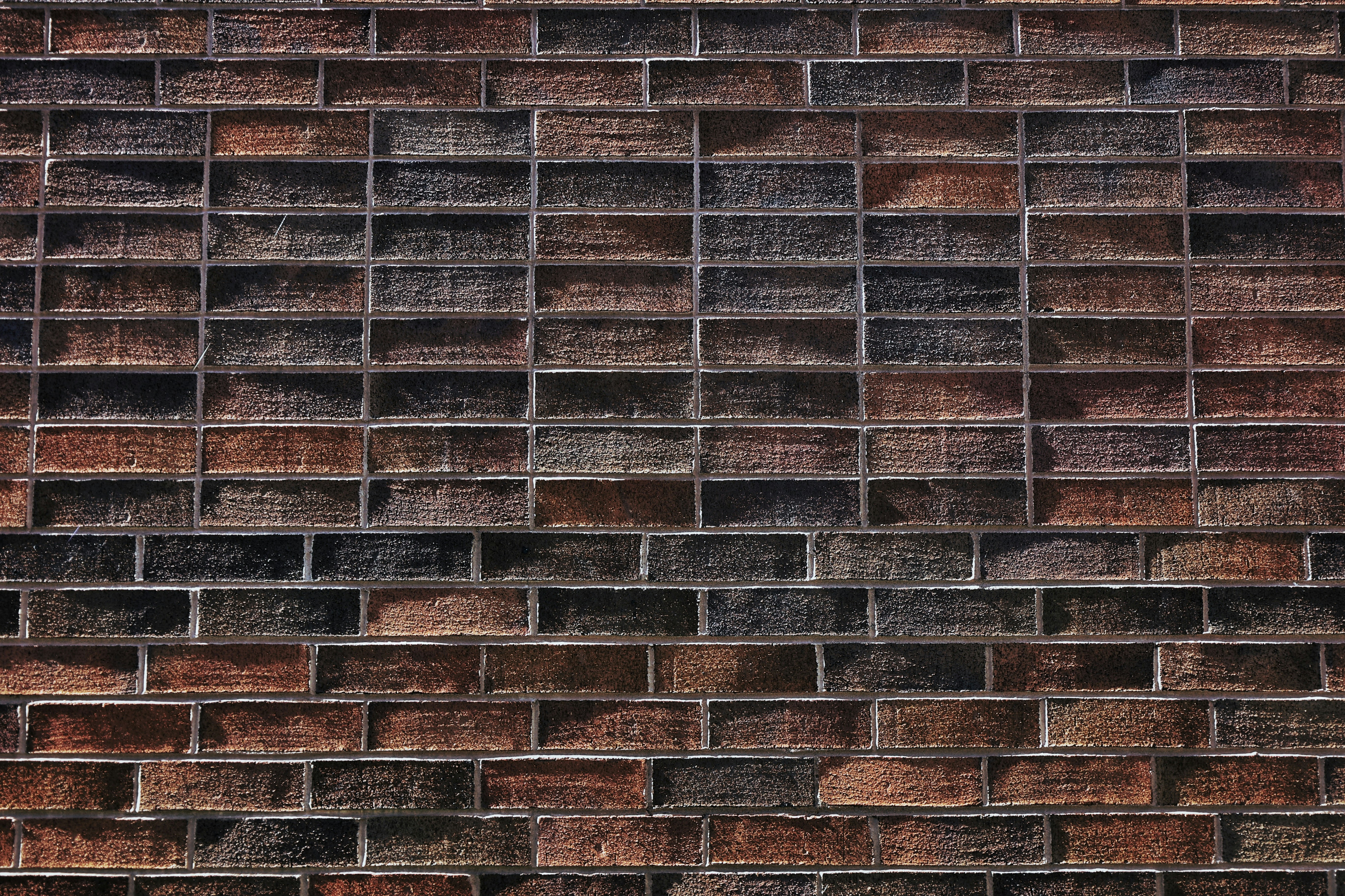 Photo by joshua_hoehne