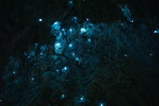a tree with lights