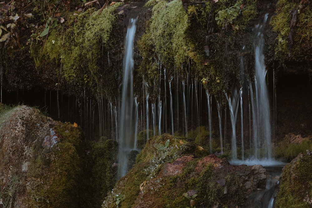 a waterfall in a forest