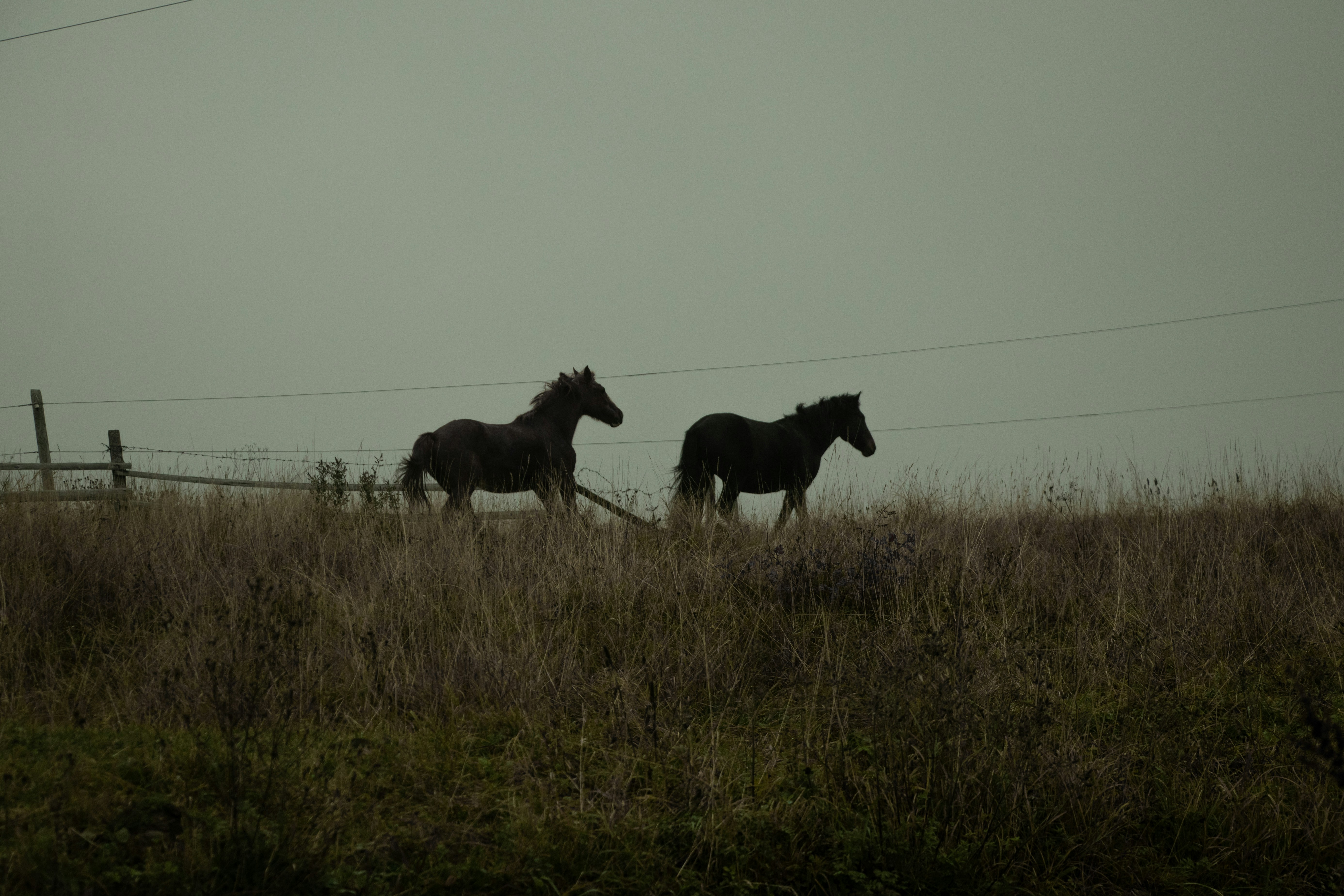 Photo by opiekhov