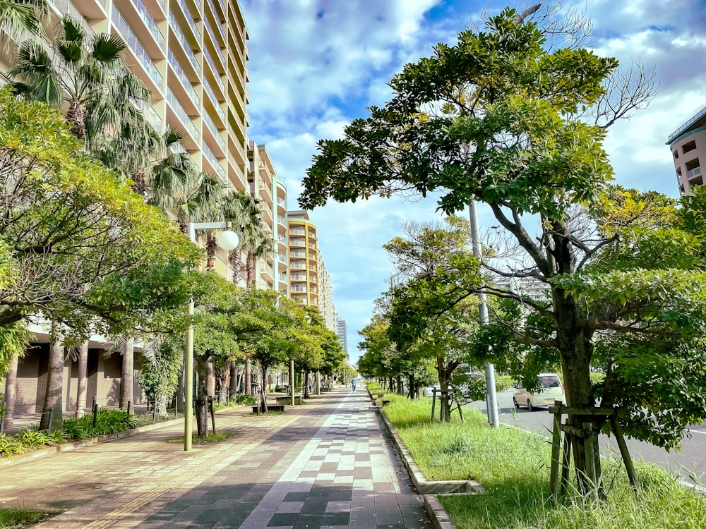 a sidewalk with trees and buildings on either side of it