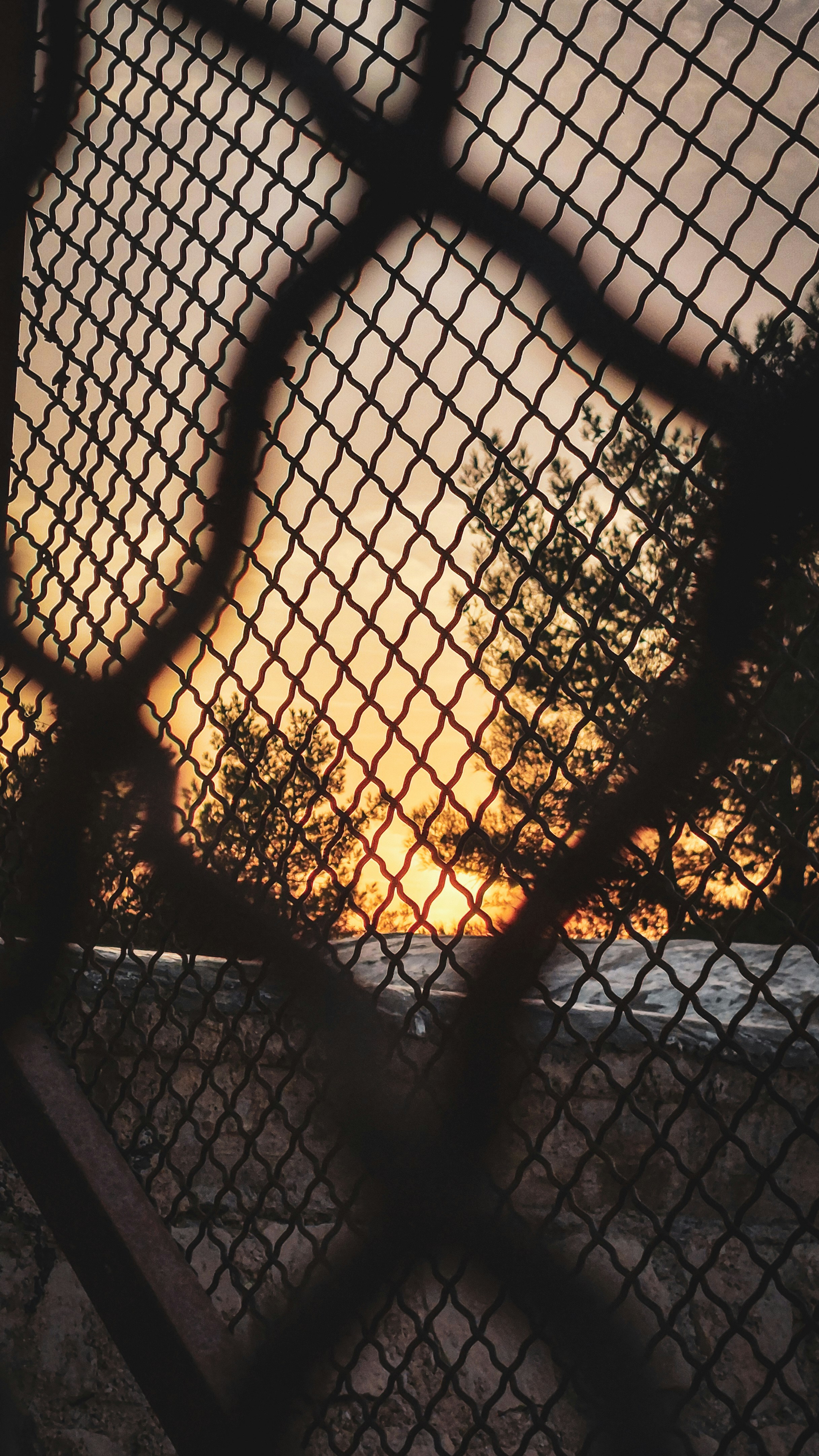 Photo by seyedalitaghavi