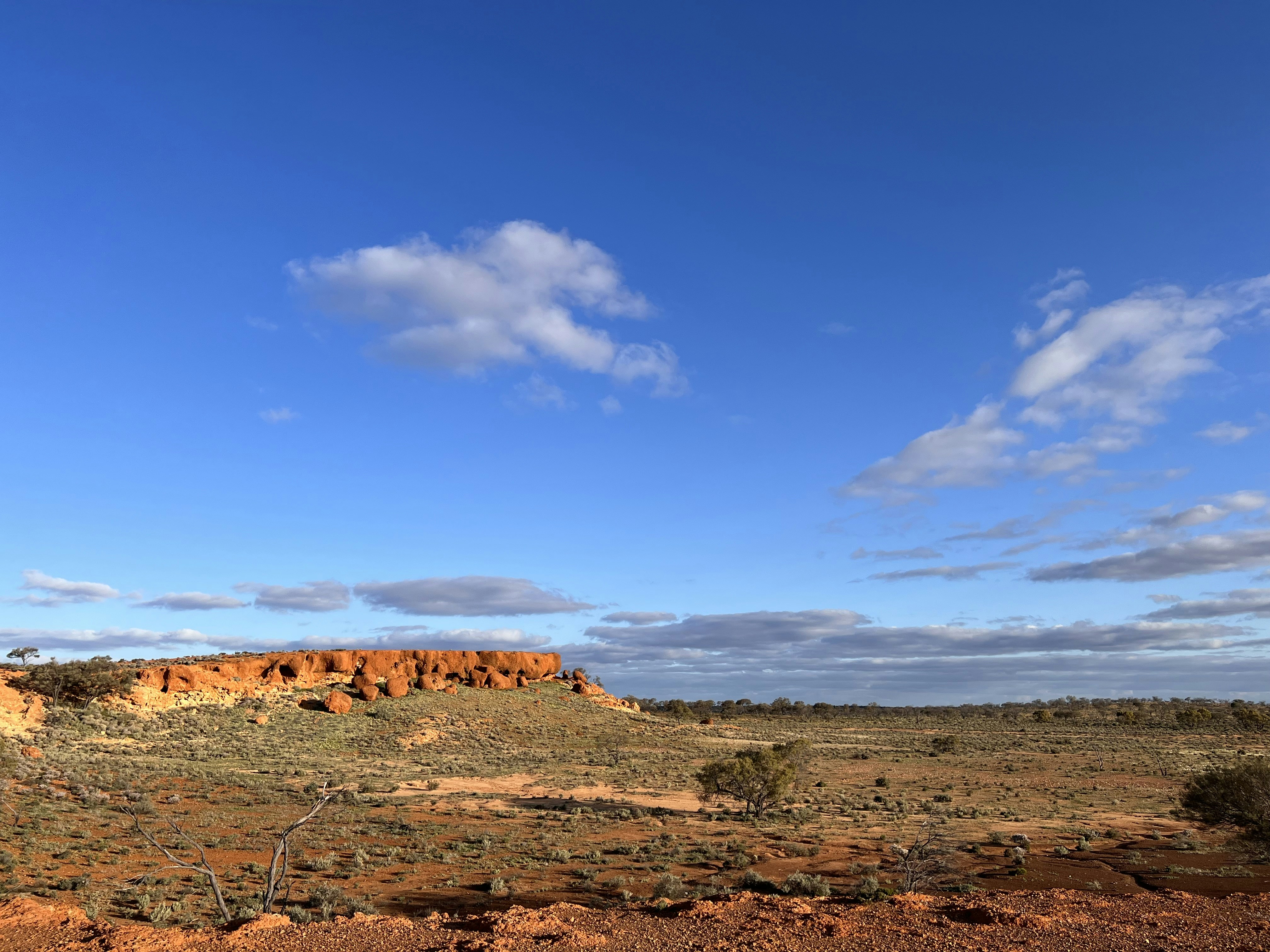 Photo by mflphotography