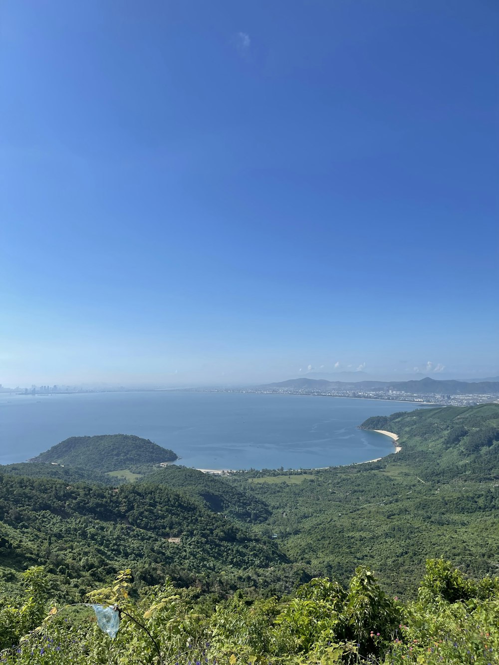 a landscape with trees and a body of water in the background