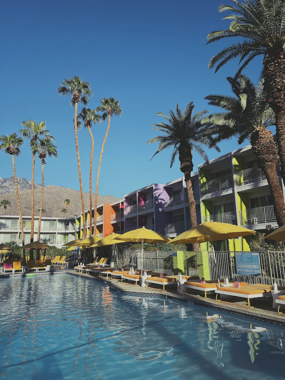 a pool with lounge chairs and umbrellas by a building with palm trees