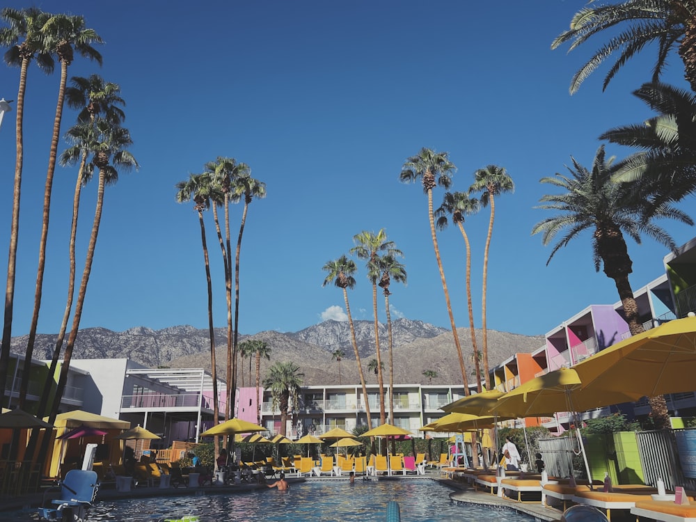 a pool with palm trees and buildings by it