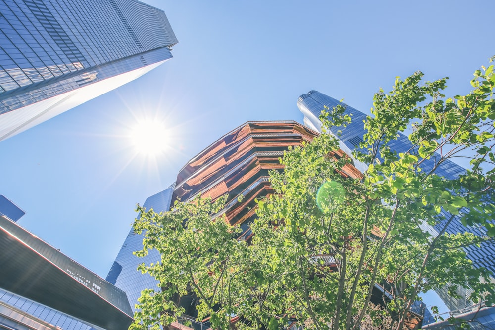 a group of tall buildings