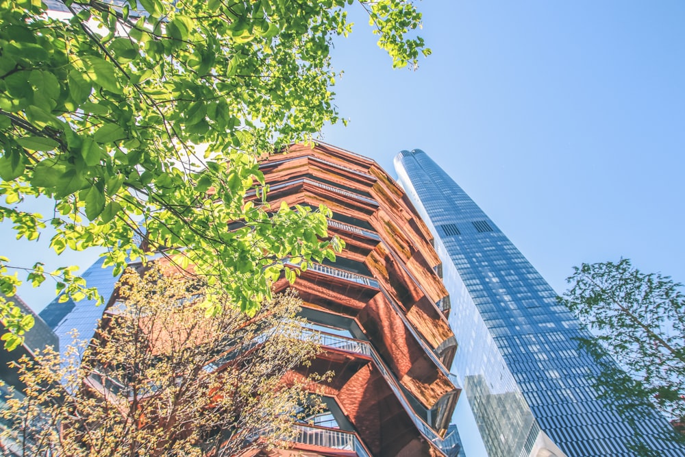 a tall building with a tree in front of it