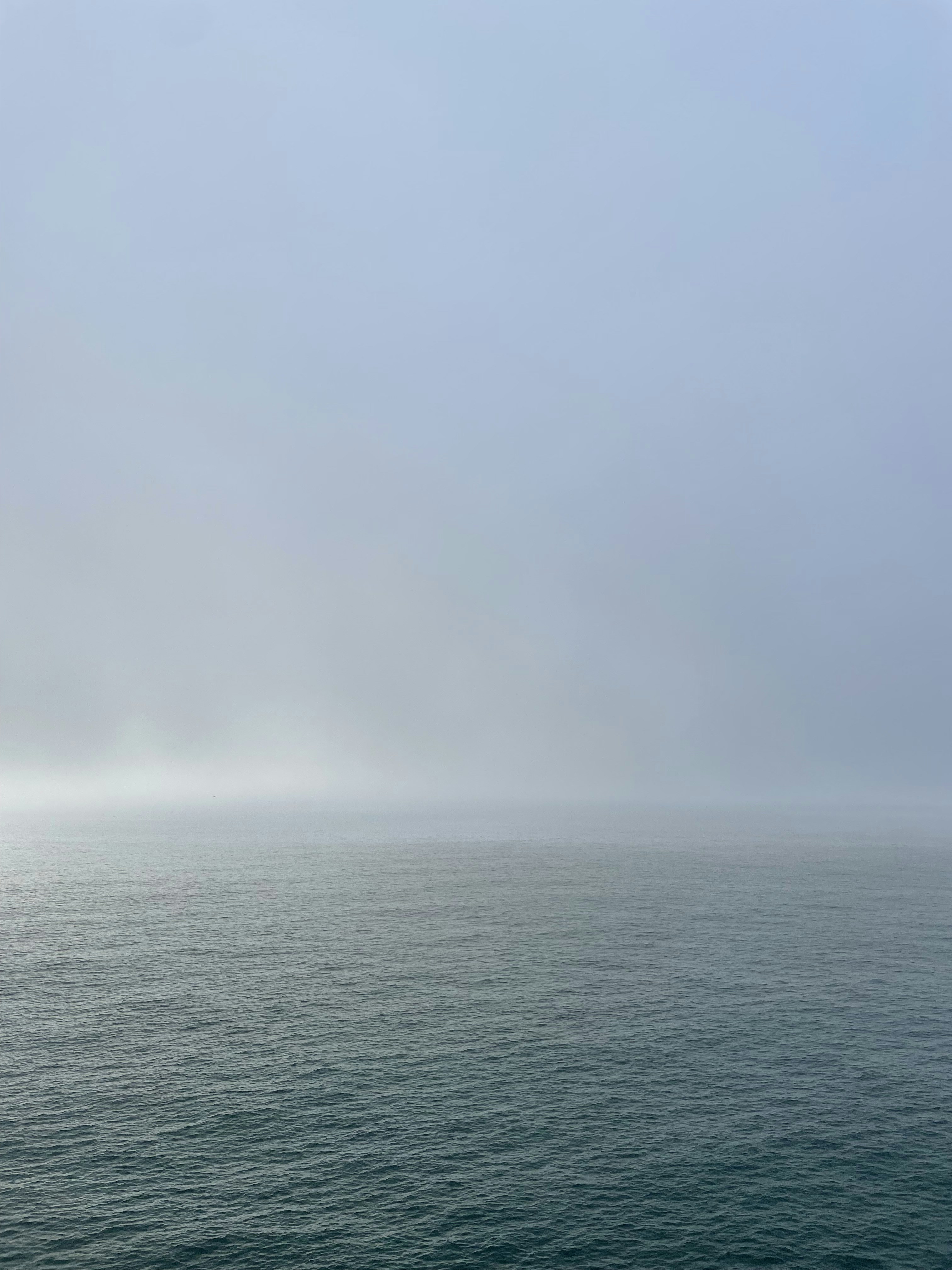 Photo by galifianakis