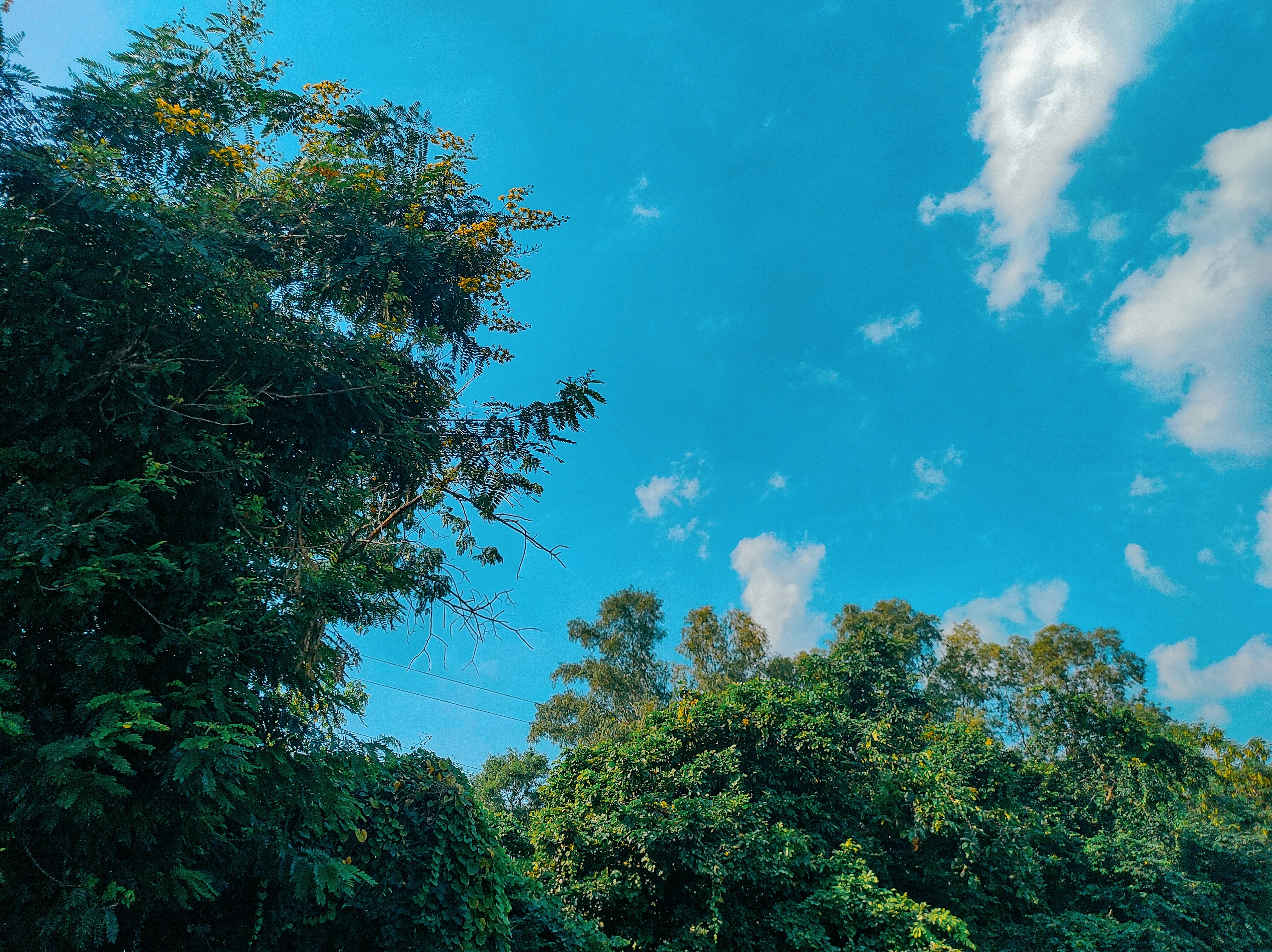 Photo by kvividsnaps