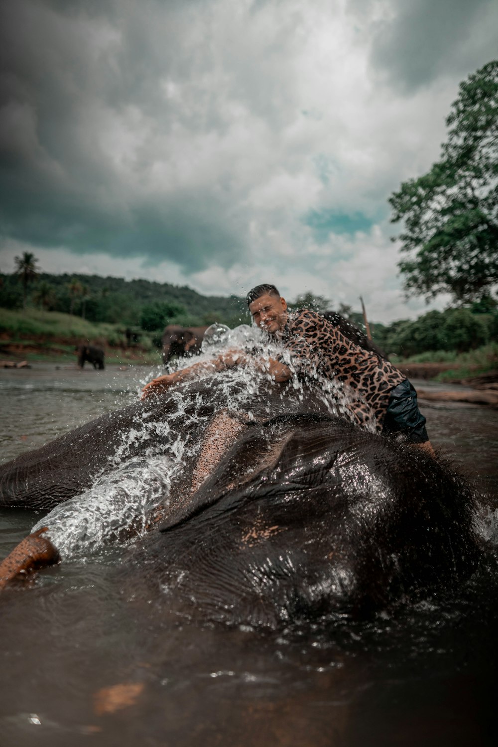 une personne chevauchant un éléphant