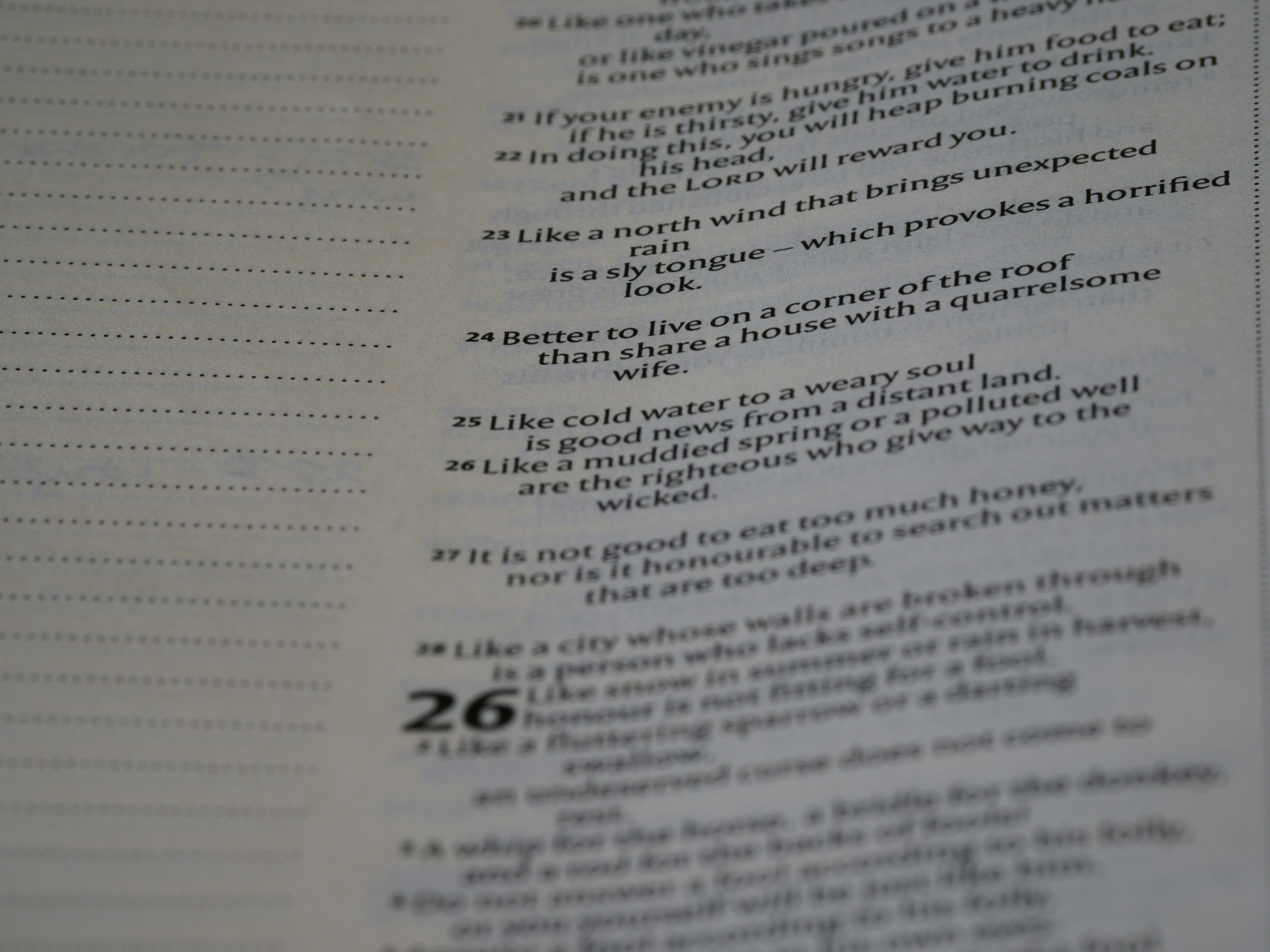 간이과세자 부가세 신고 기간과 준비 방법 총정리