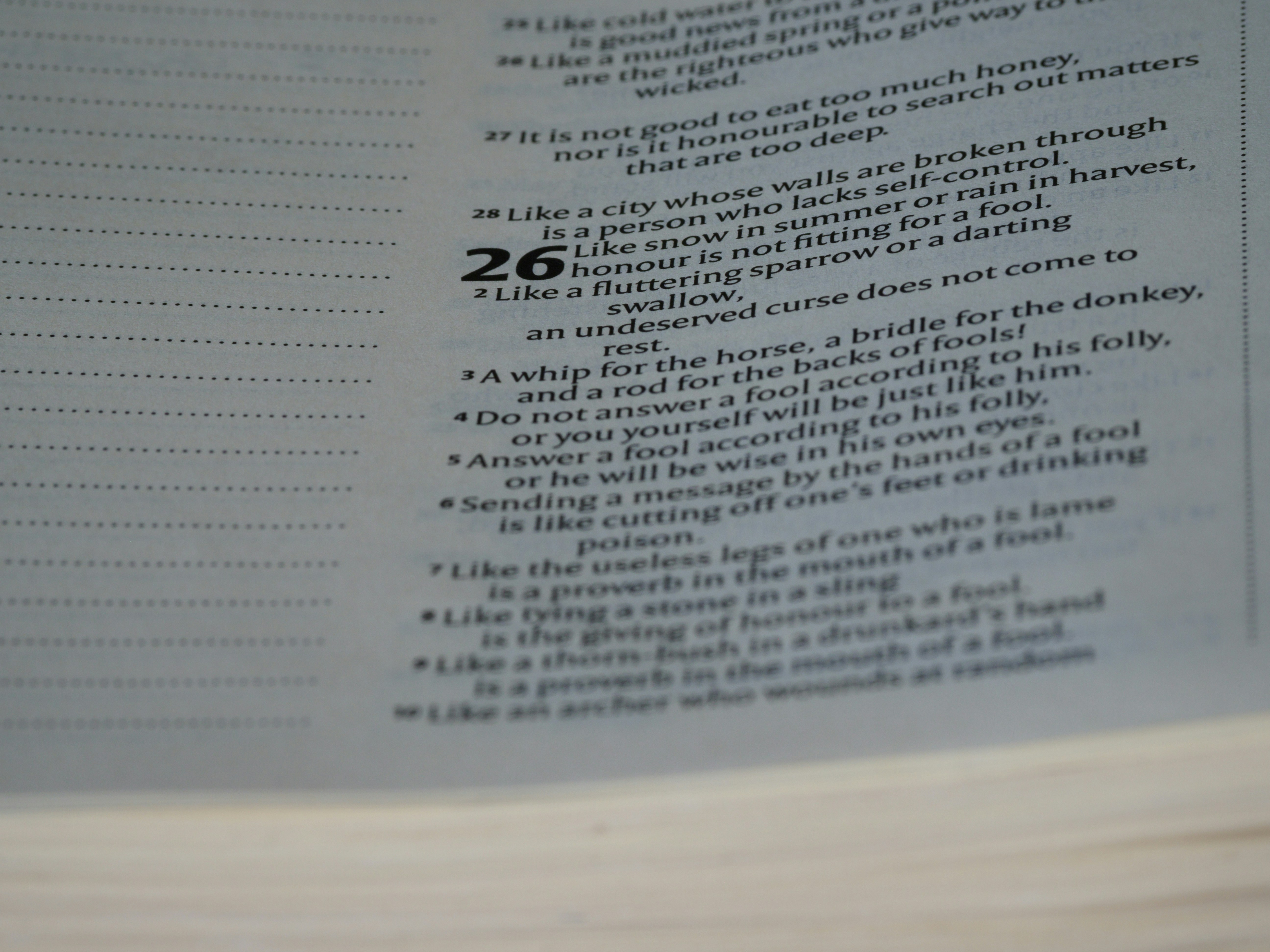 A section of a rental agreement highlighting a pet clause, with placeholder text for breed restrictions, weight limits, and pet fees - pet friendly places for rent