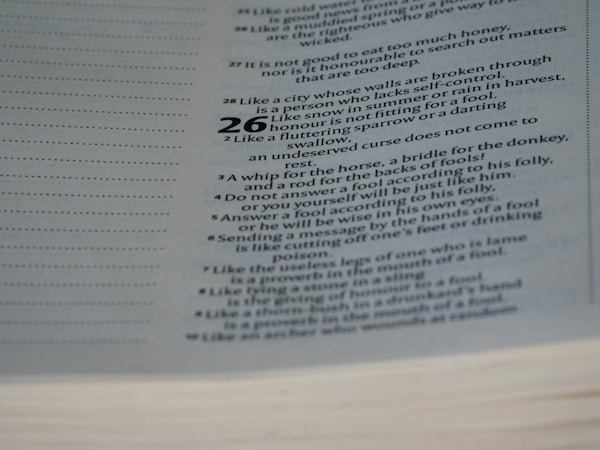 A close-up view of a book page displaying text with chapter and verse numbers. The text appears to be from a religious or philosophical book, with various proverbs or sayings listed in a structured format.