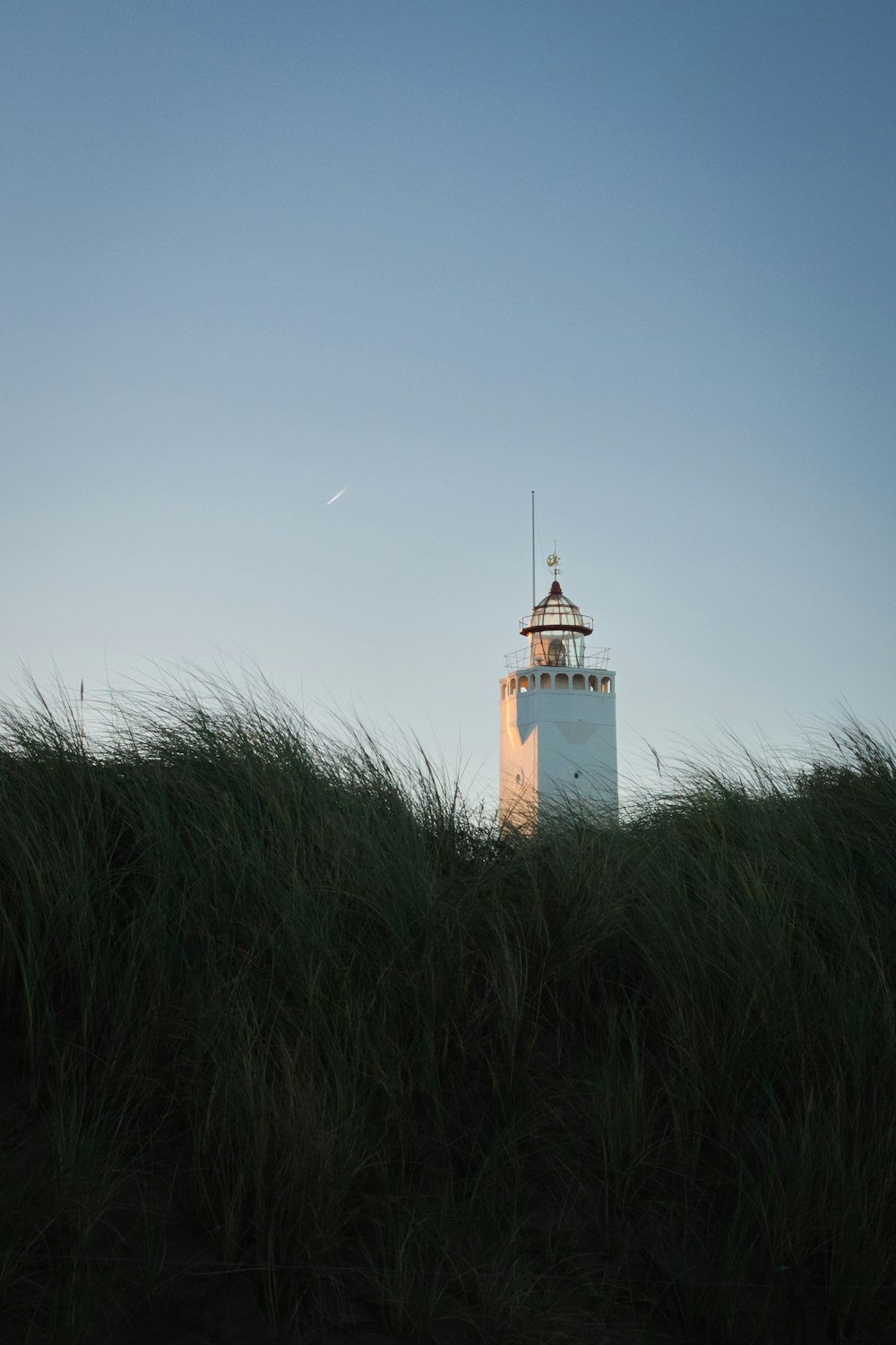 a lighthouse in the middle of a field