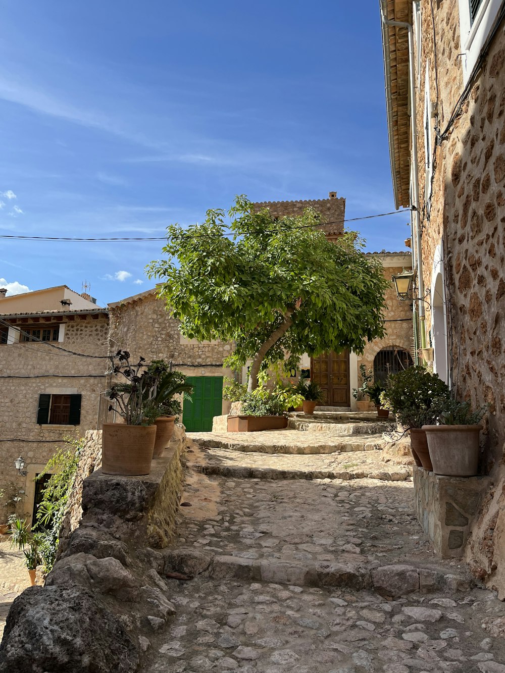 a stone courtyard with a tree and buildings