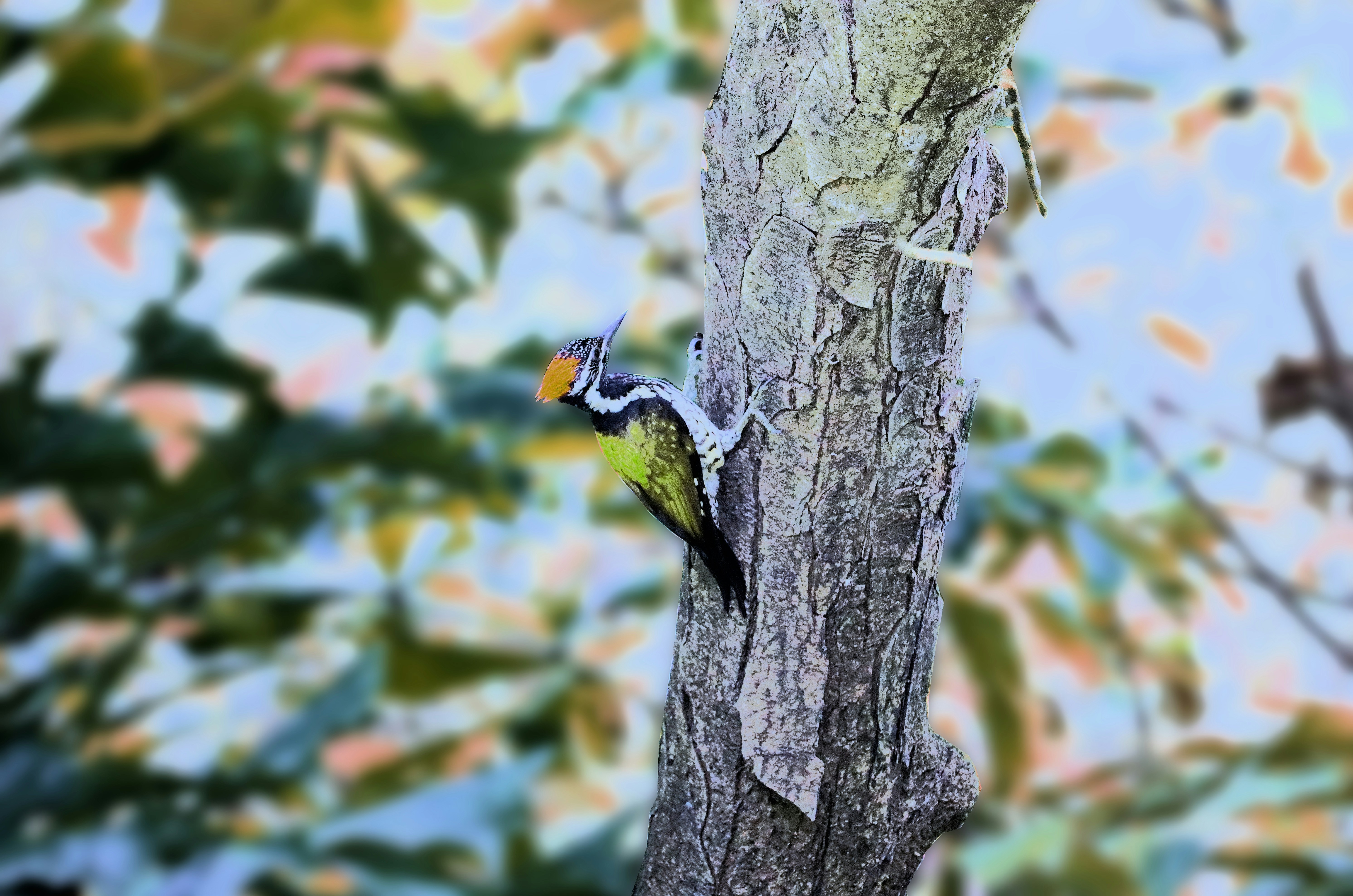 Photo by prathap_karaka