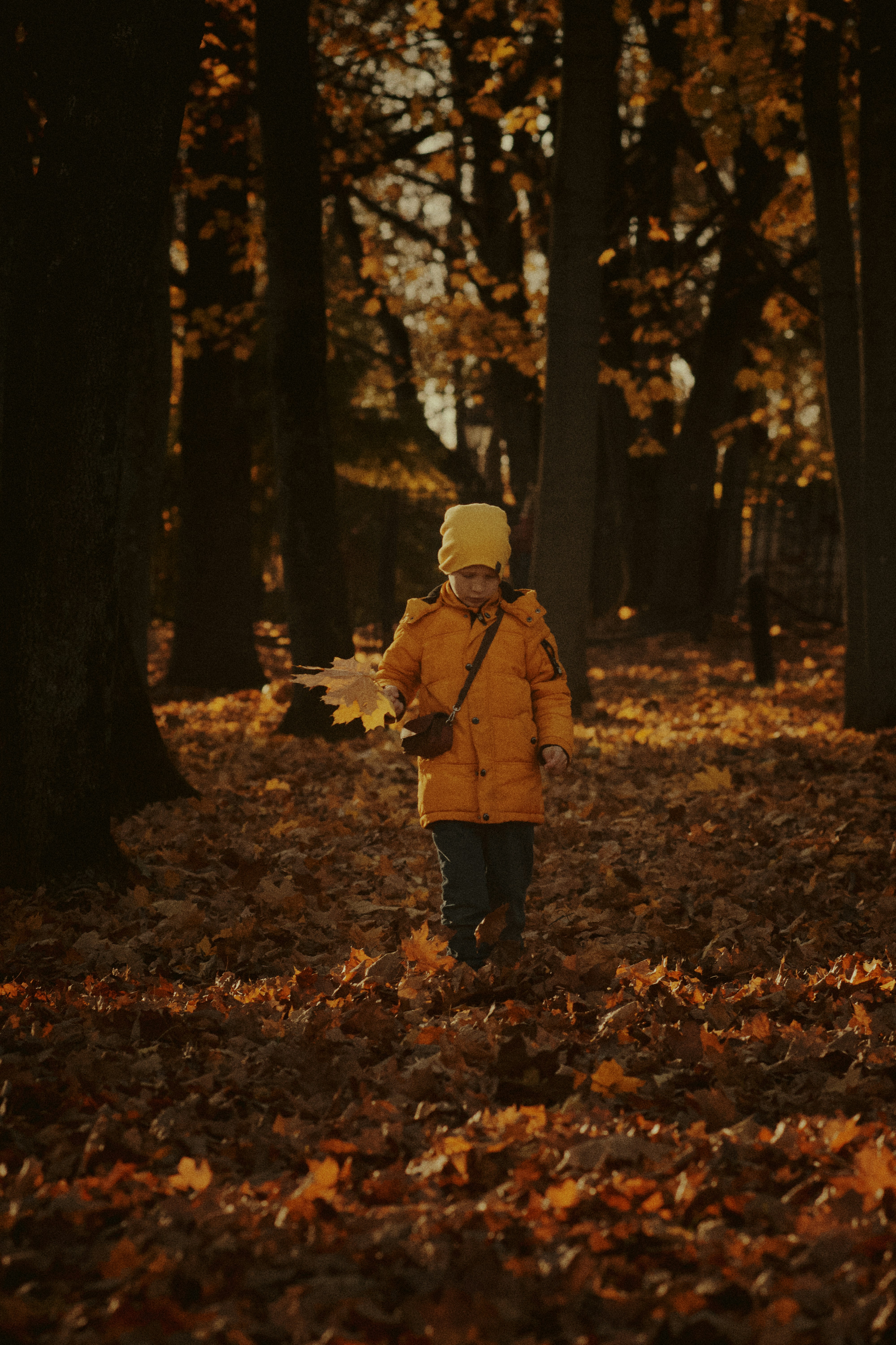 Photo by shklyaevmax