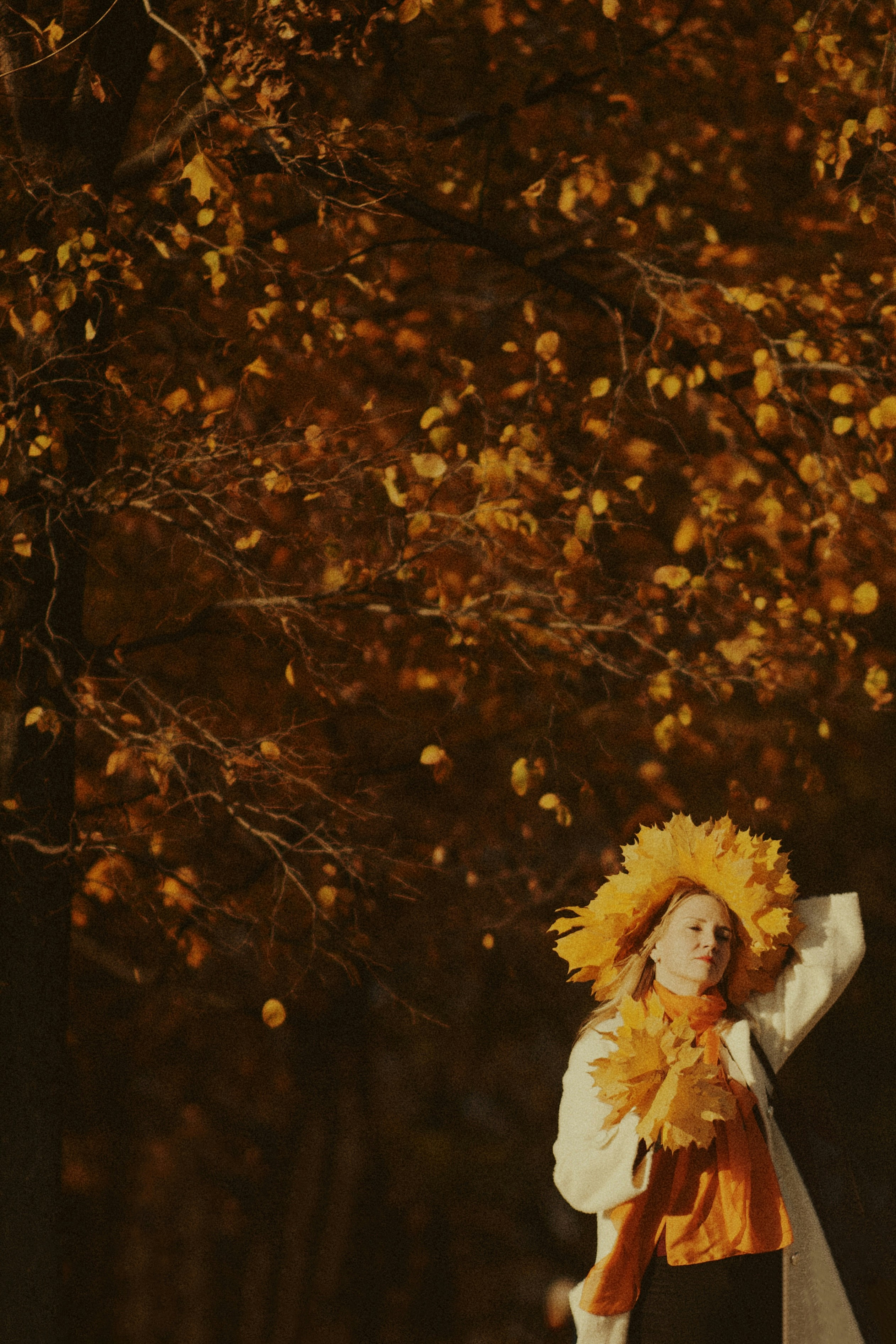 Photo by shklyaevmax