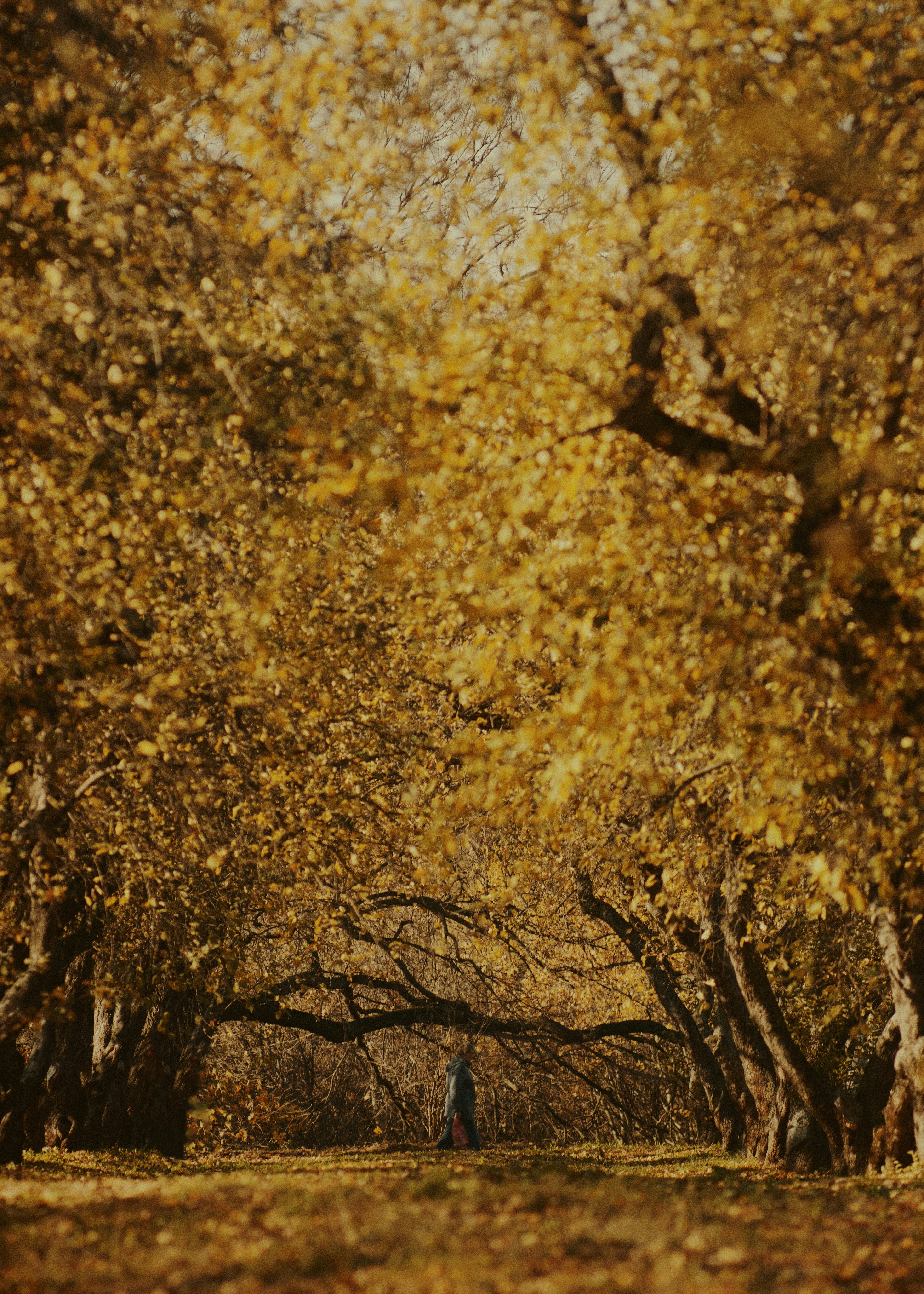 Photo by shklyaevmax