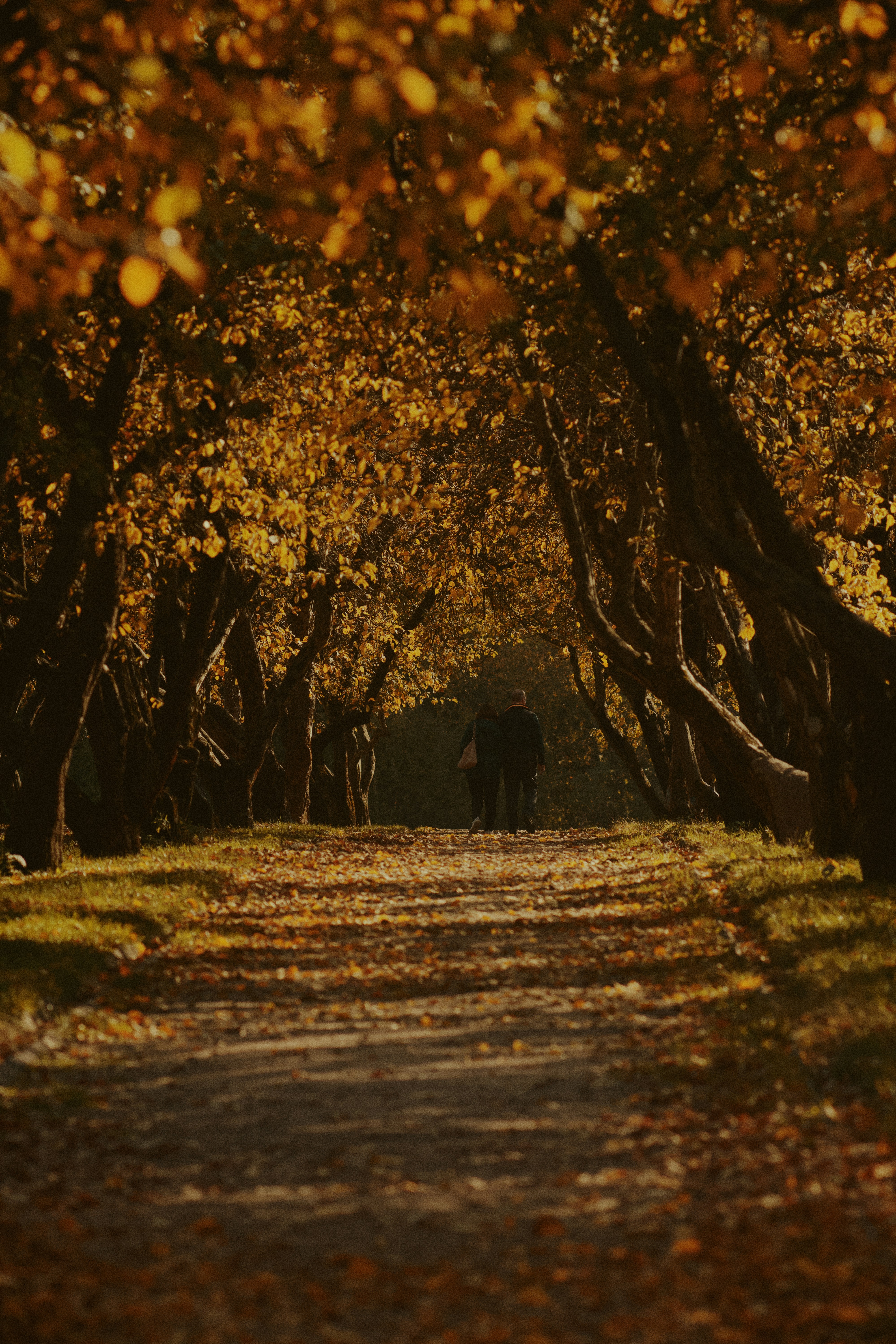 Photo by shklyaevmax