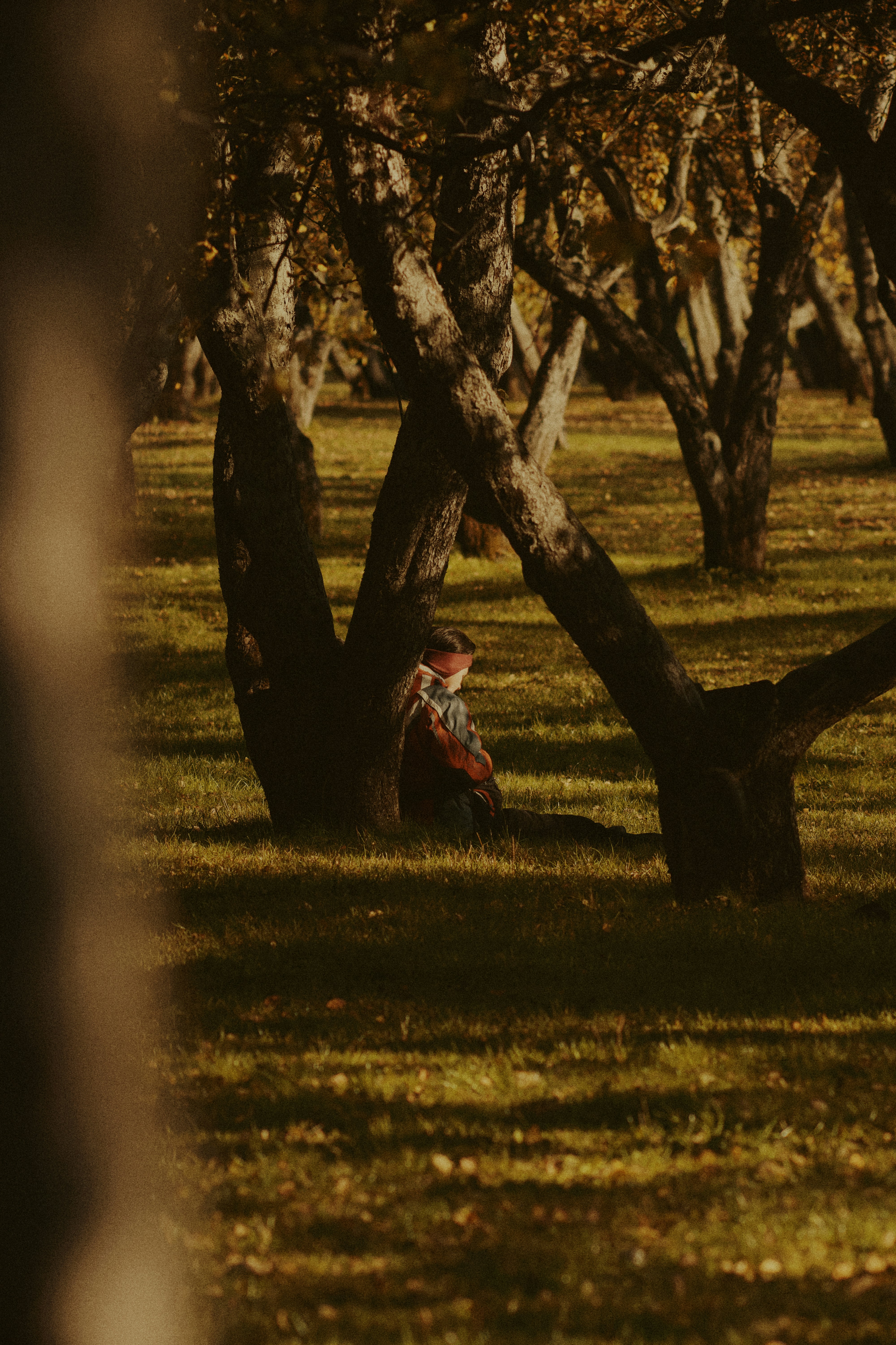 Photo by shklyaevmax