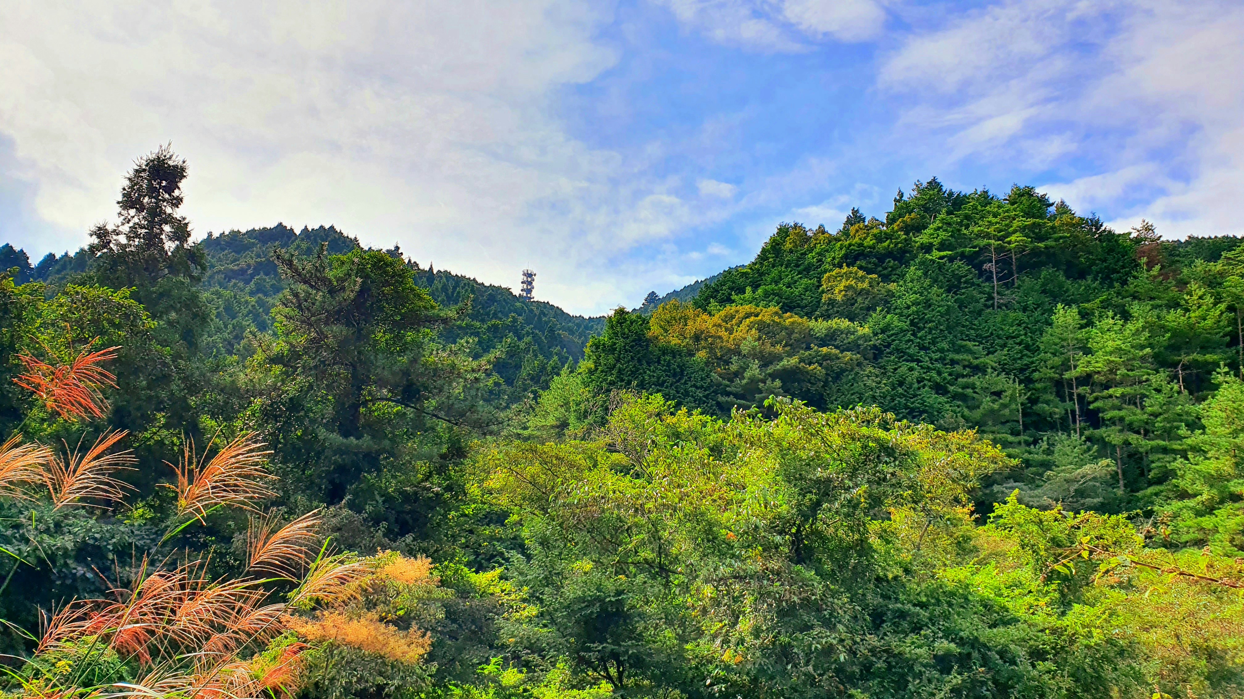 Photo by naturalphotos08