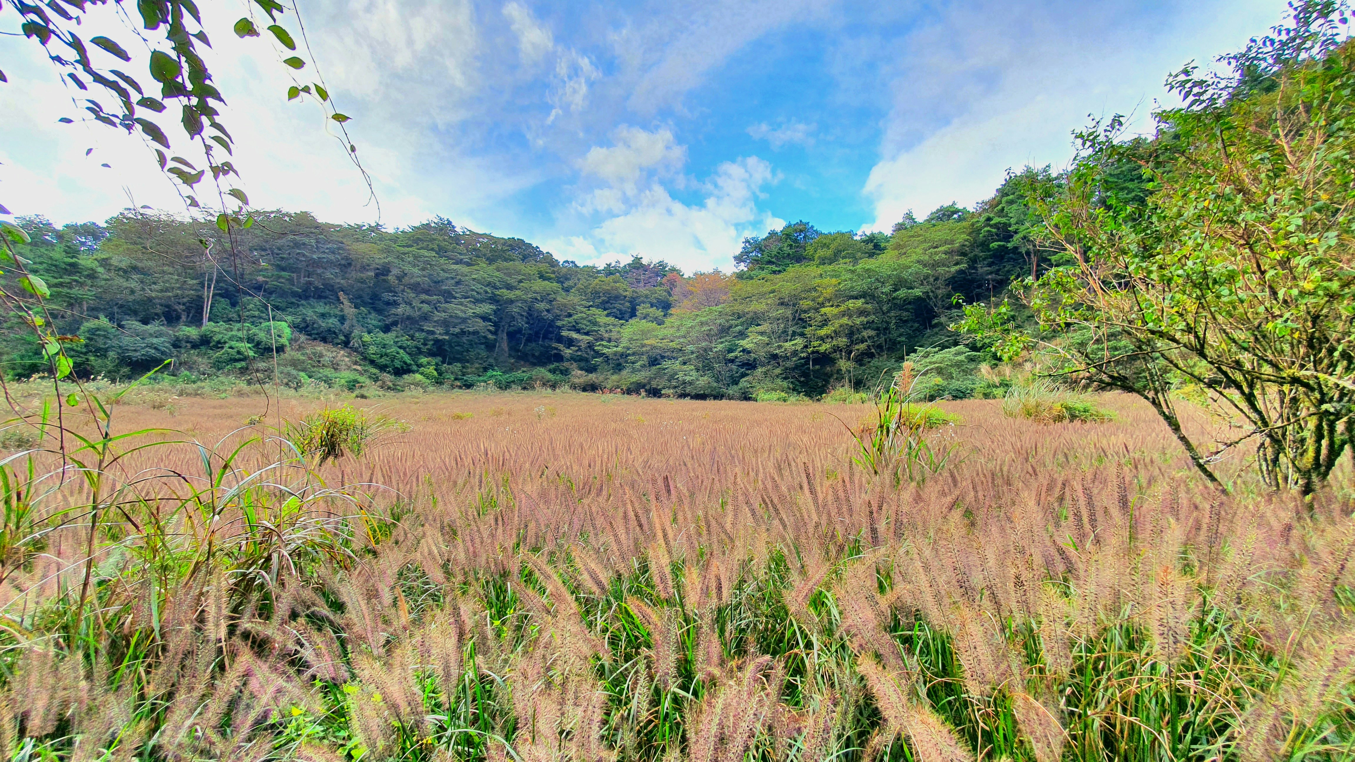 Photo by naturalphotos08