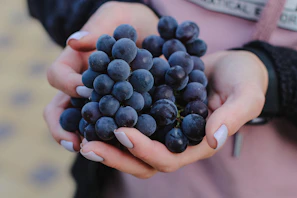a person holding a bunch of blueberries