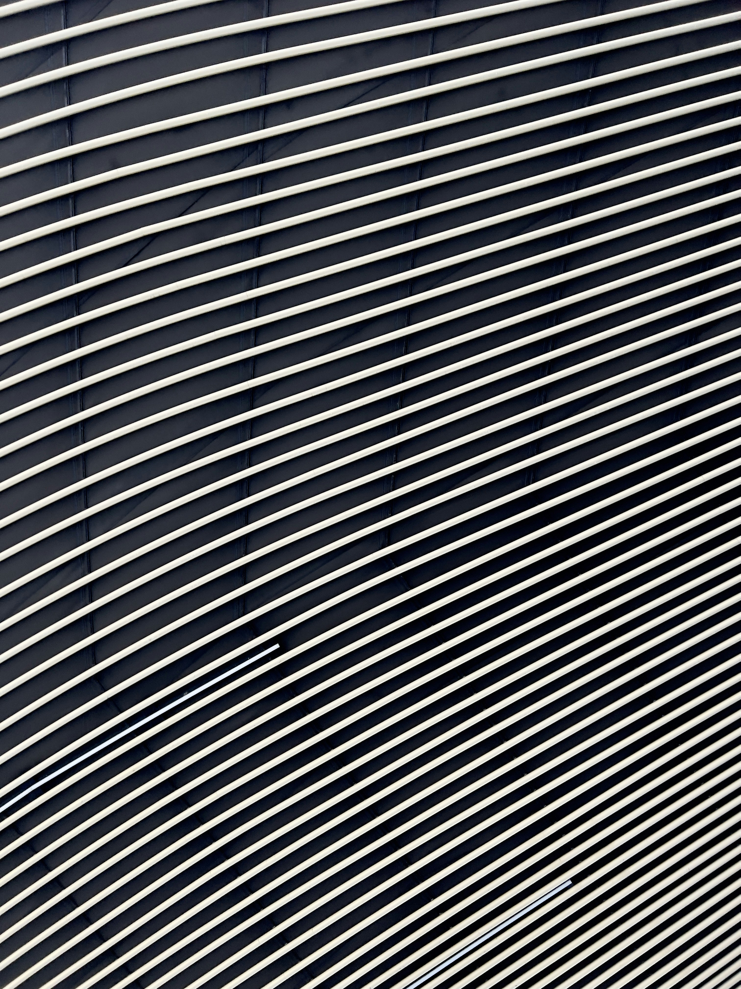 Photo by steven_______