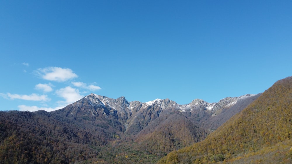 a mountain range with trees