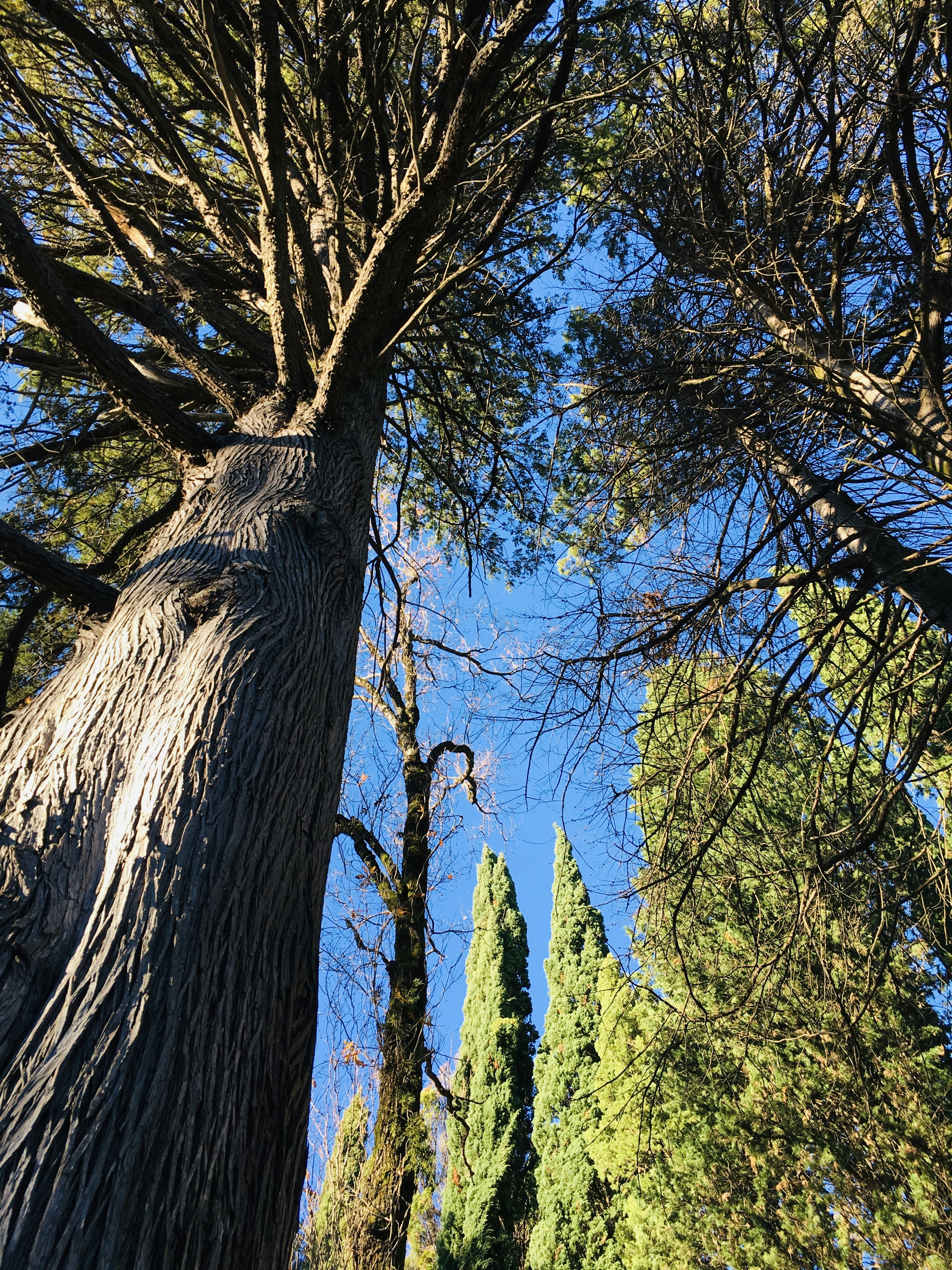 Photo by mari_sabatini