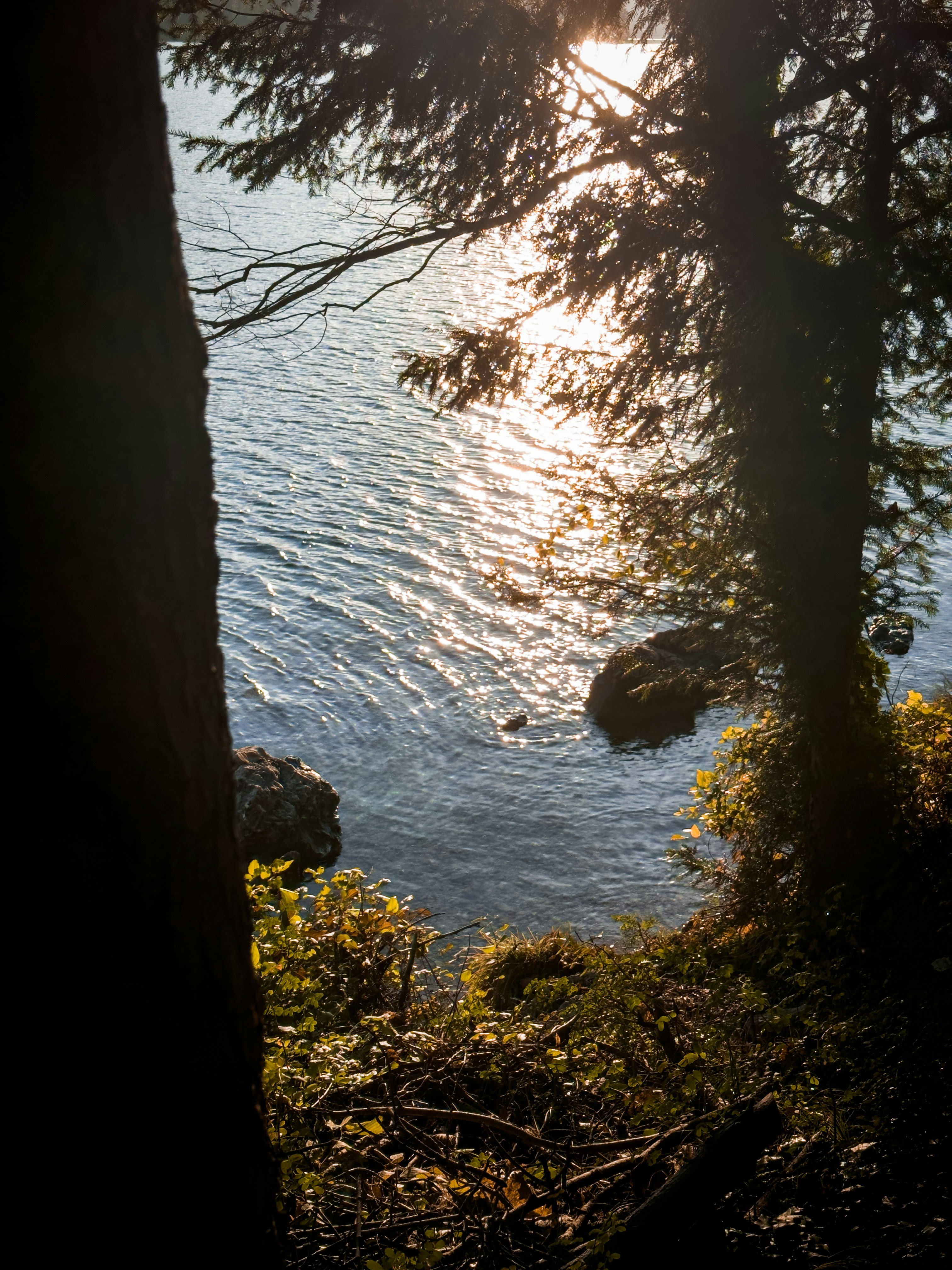 Photo by jordienr