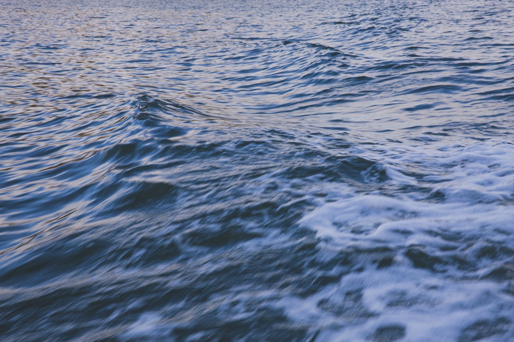a body of water with waves