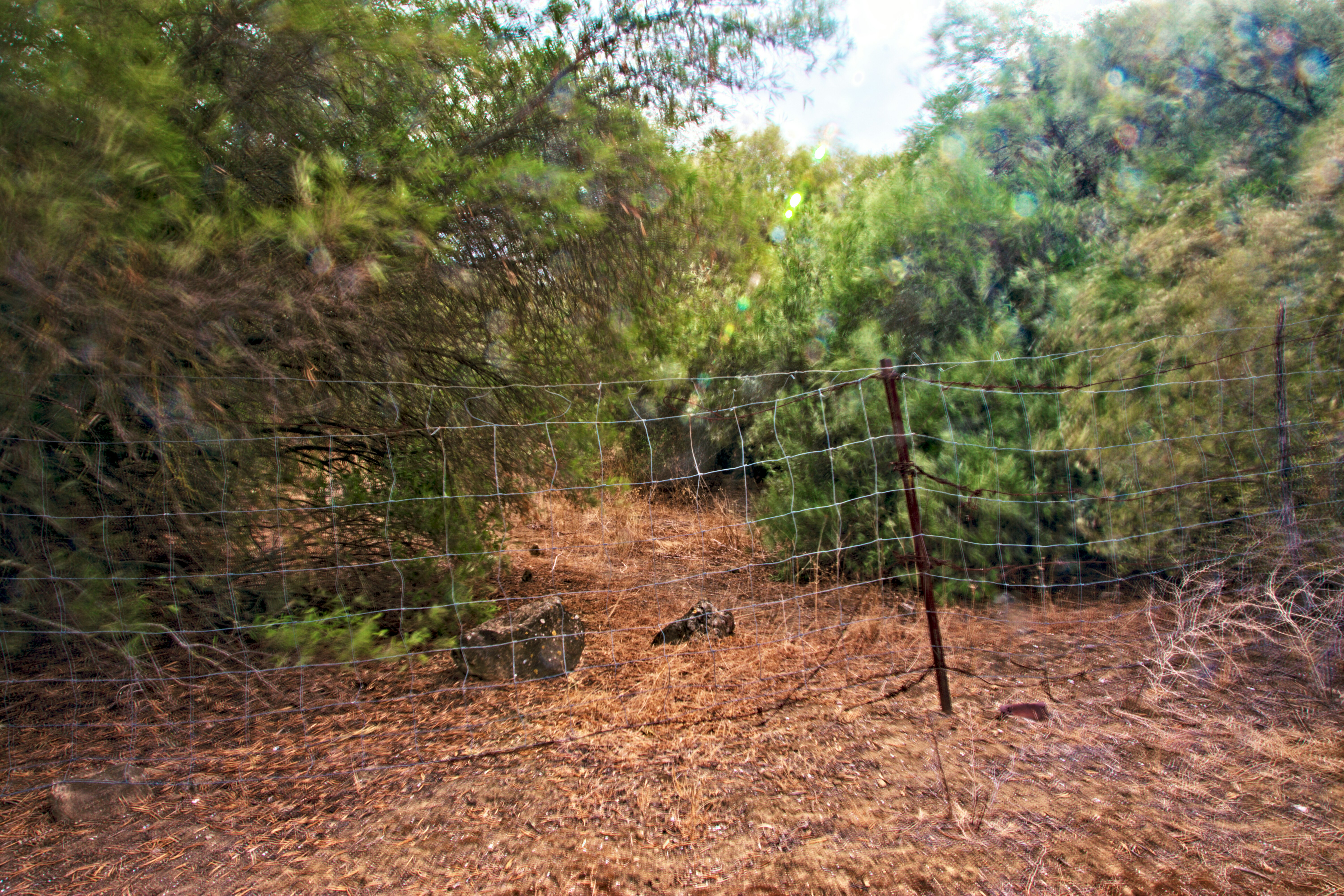Residential community perimeter fence line bordering dry hillside vegetation, late afternoon muted light, earth tones