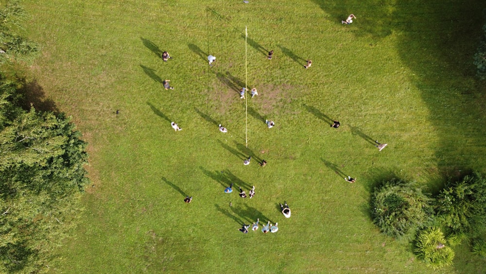 um grupo de pessoas em um campo de golfe
