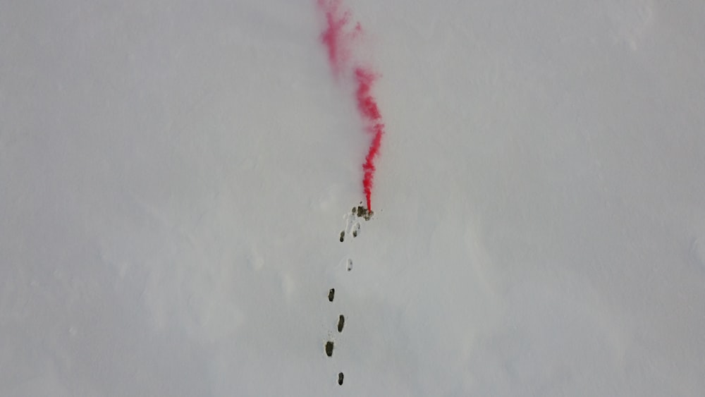 a group of people flying in the sky with red smoke