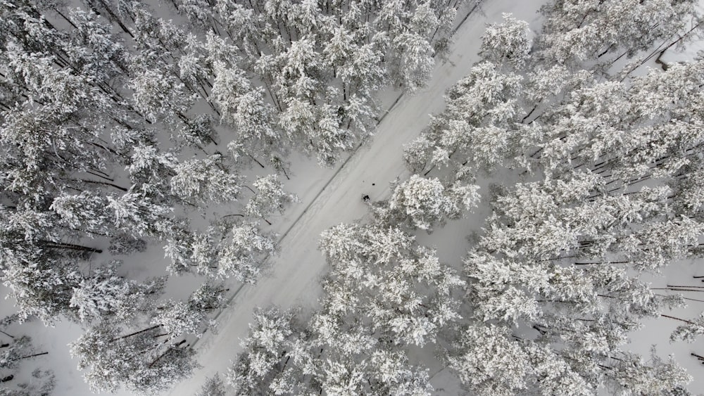 a road with snow on the side