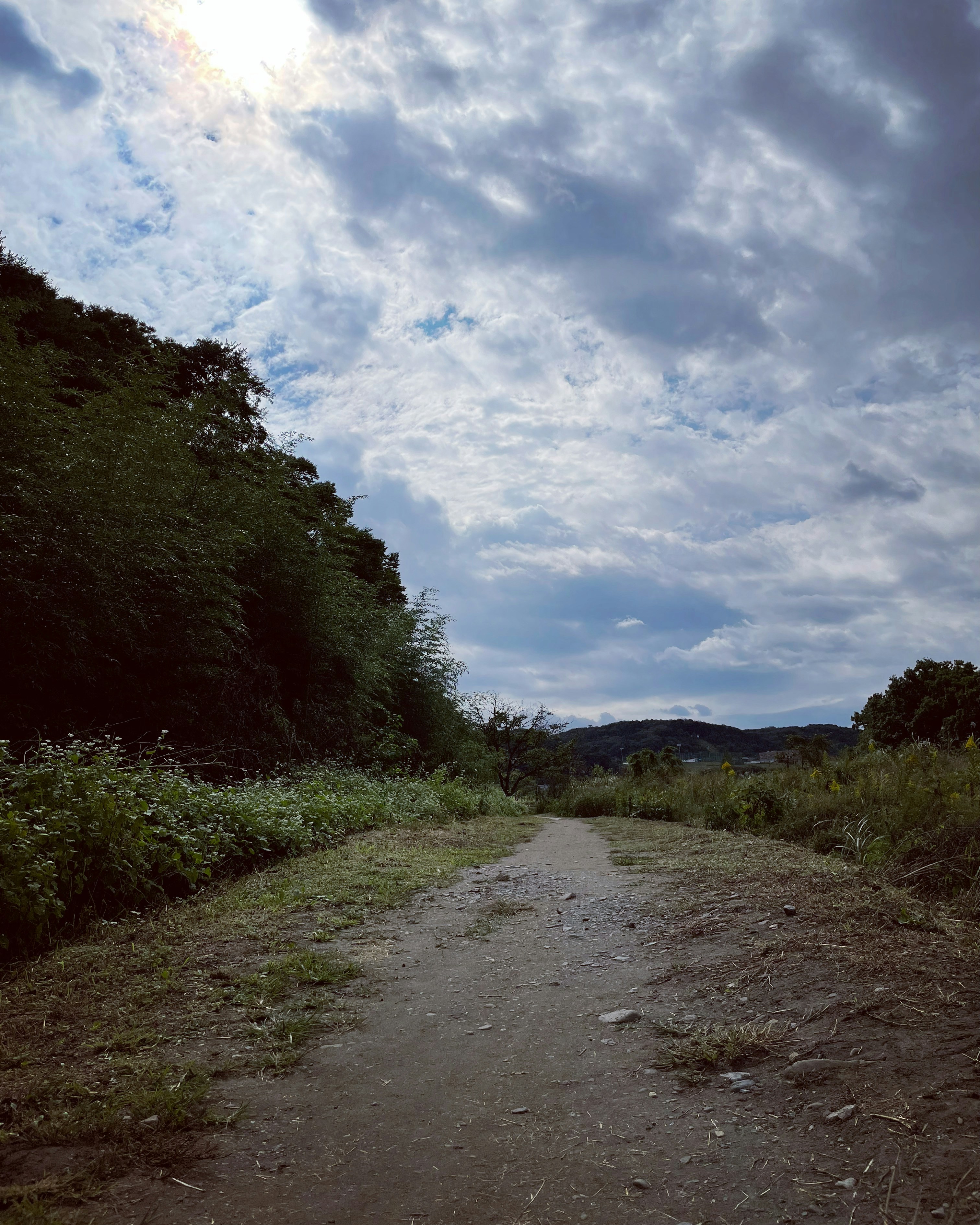 Photo by blueskywalker